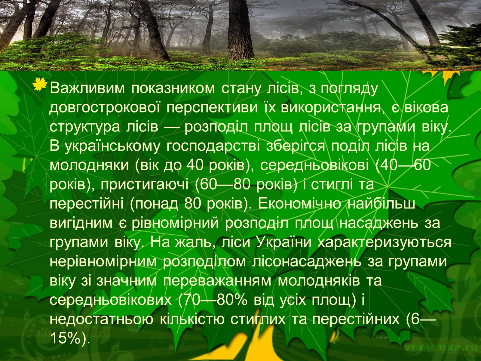 Презентація на тему «Екологічні проблеми лісів України» - Слайд #16 Презентація на тему «Екологічні проблеми лісів України» - Слайд #16