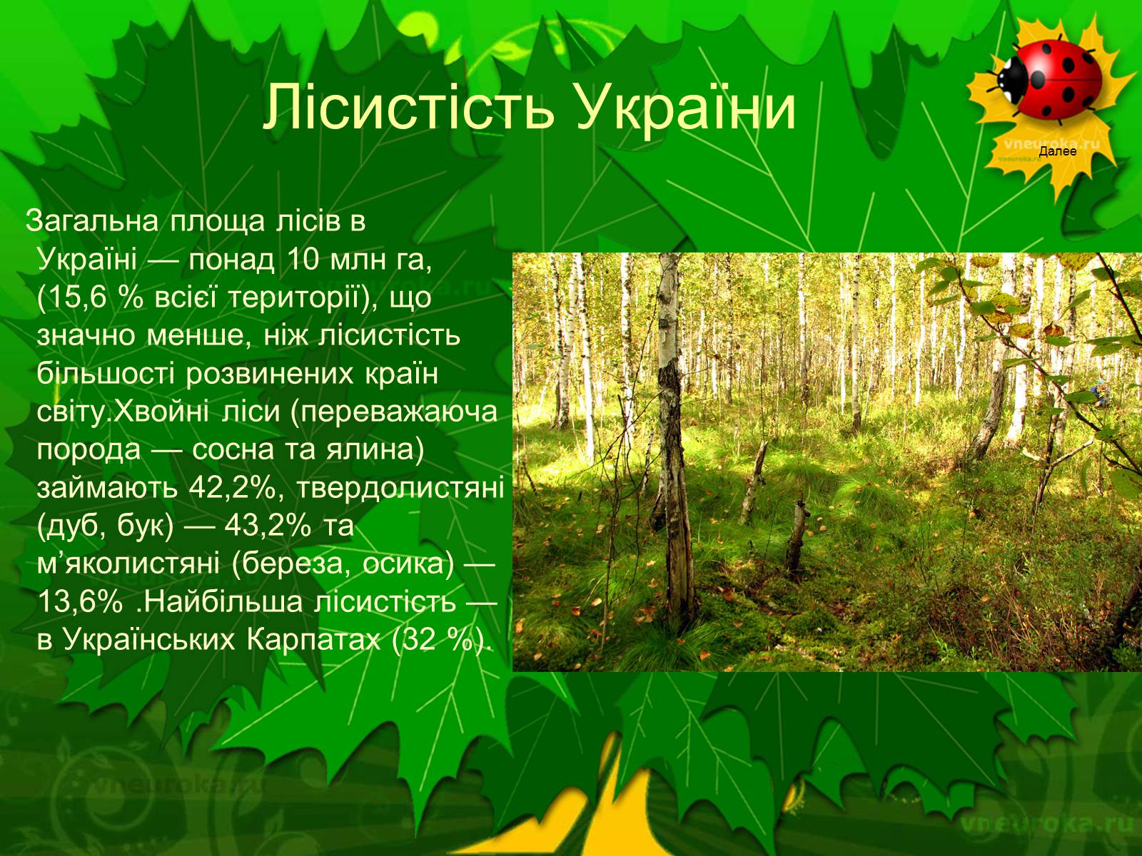 Презентація на тему «Екологічні проблеми лісів України» - Слайд #2 Презентація на тему «Екологічні проблеми лісів України» - Слайд #2
