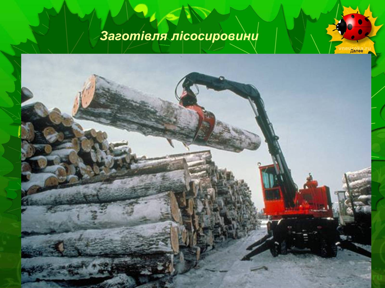 Презентація на тему «Екологічні проблеми лісів України» - Слайд #23 Презентація на тему «Екологічні проблеми лісів України» - Слайд #23