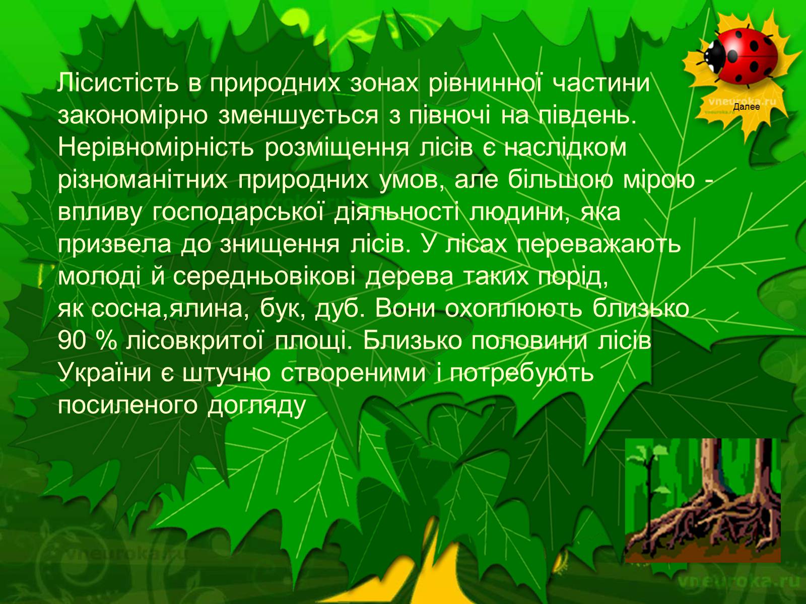 Презентація на тему «Екологічні проблеми лісів України» - Слайд #3 Презентація на тему «Екологічні проблеми лісів України» - Слайд #3