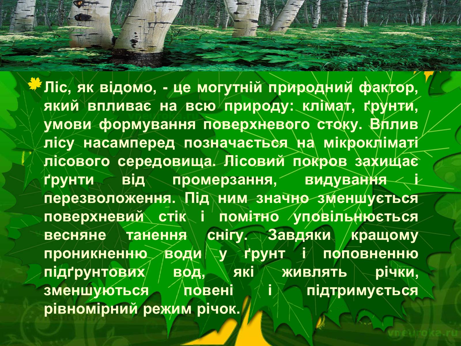 Презентація на тему «Екологічні проблеми лісів України» - Слайд #38 Презентація на тему «Екологічні проблеми лісів України» - Слайд #38
