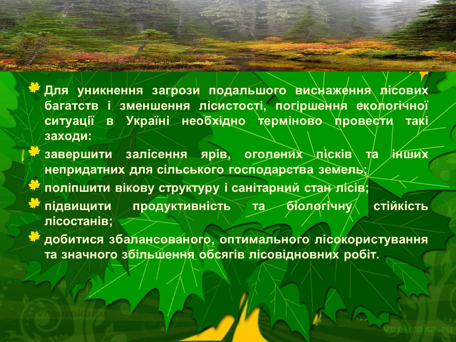 Презентація на тему «Екологічні проблеми лісів України» - Слайд #39 Презентація на тему «Екологічні проблеми лісів України» - Слайд #39