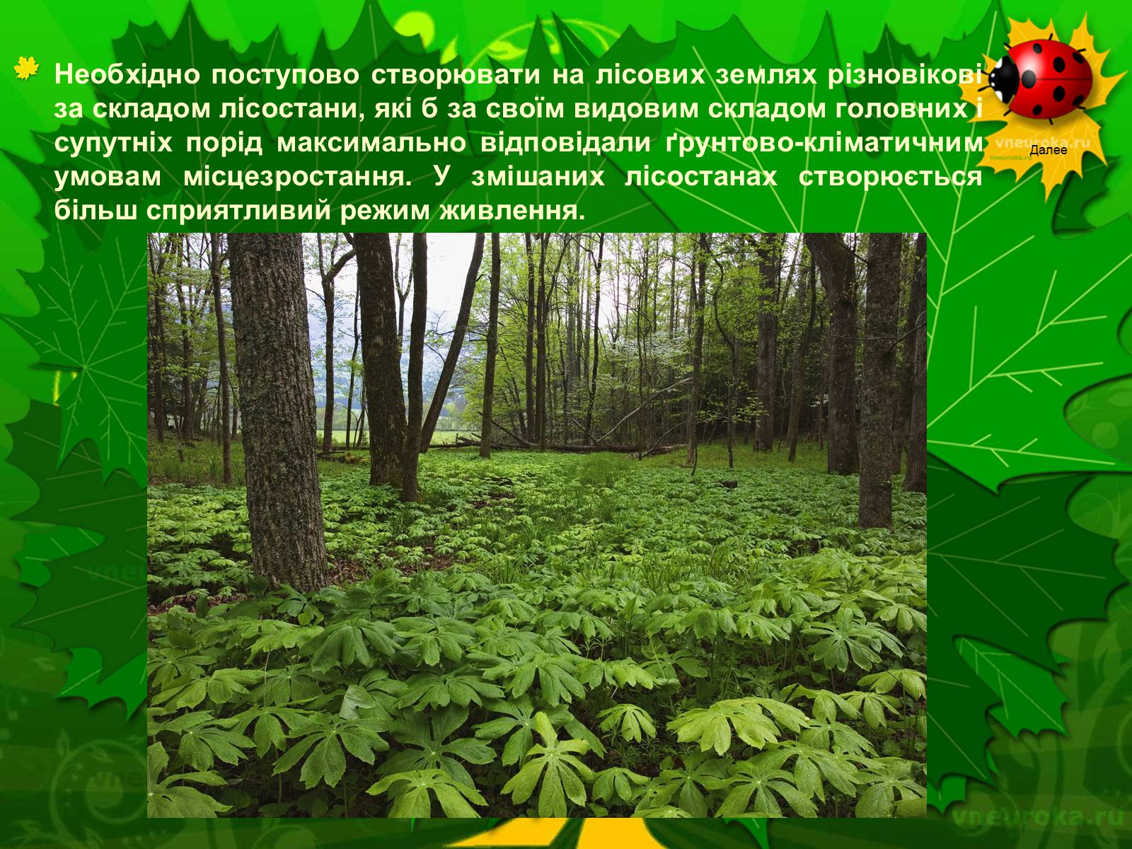 Презентація на тему «Екологічні проблеми лісів України» - Слайд #40 Презентація на тему «Екологічні проблеми лісів України» - Слайд #40