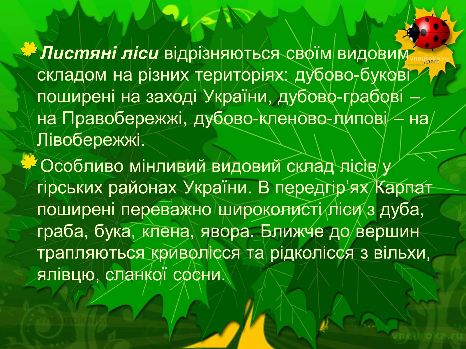 Презентація на тему «Екологічні проблеми лісів України» - Слайд #46 Презентація на тему «Екологічні проблеми лісів України» - Слайд #46