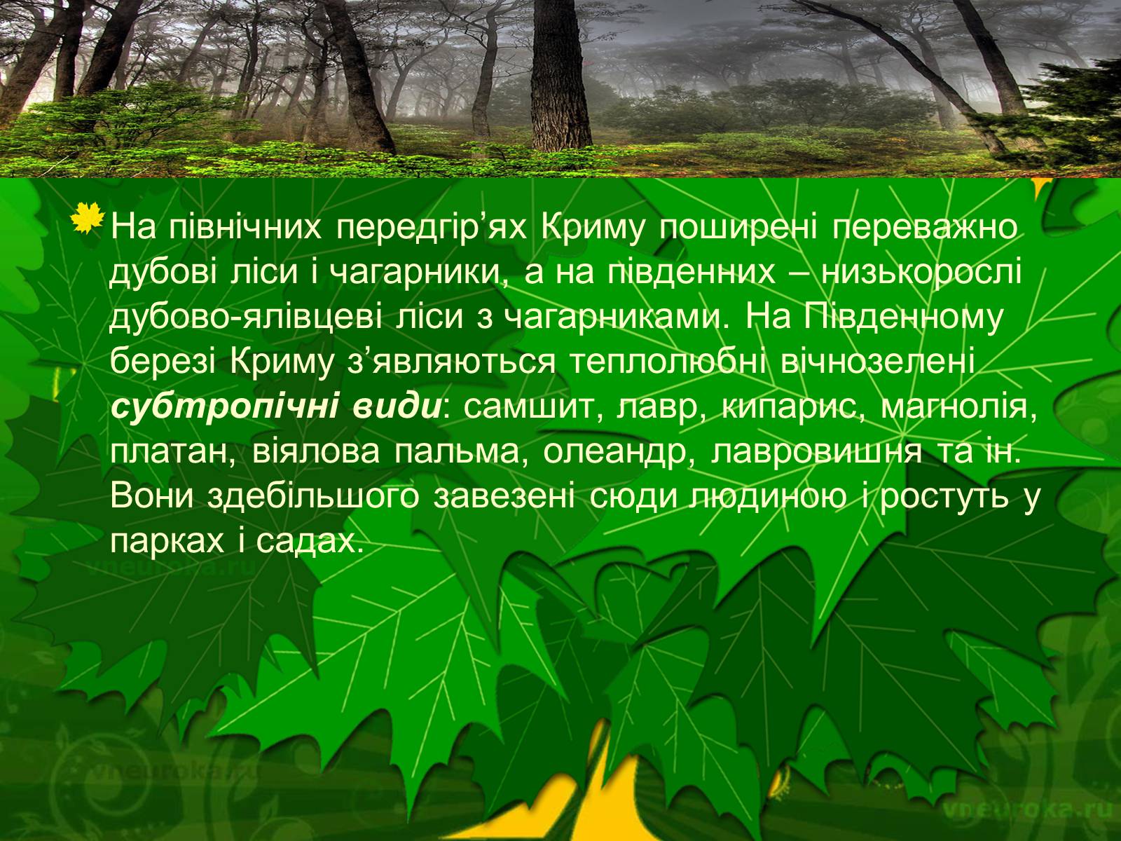 Презентація на тему «Екологічні проблеми лісів України» - Слайд #47 Презентація на тему «Екологічні проблеми лісів України» - Слайд #47