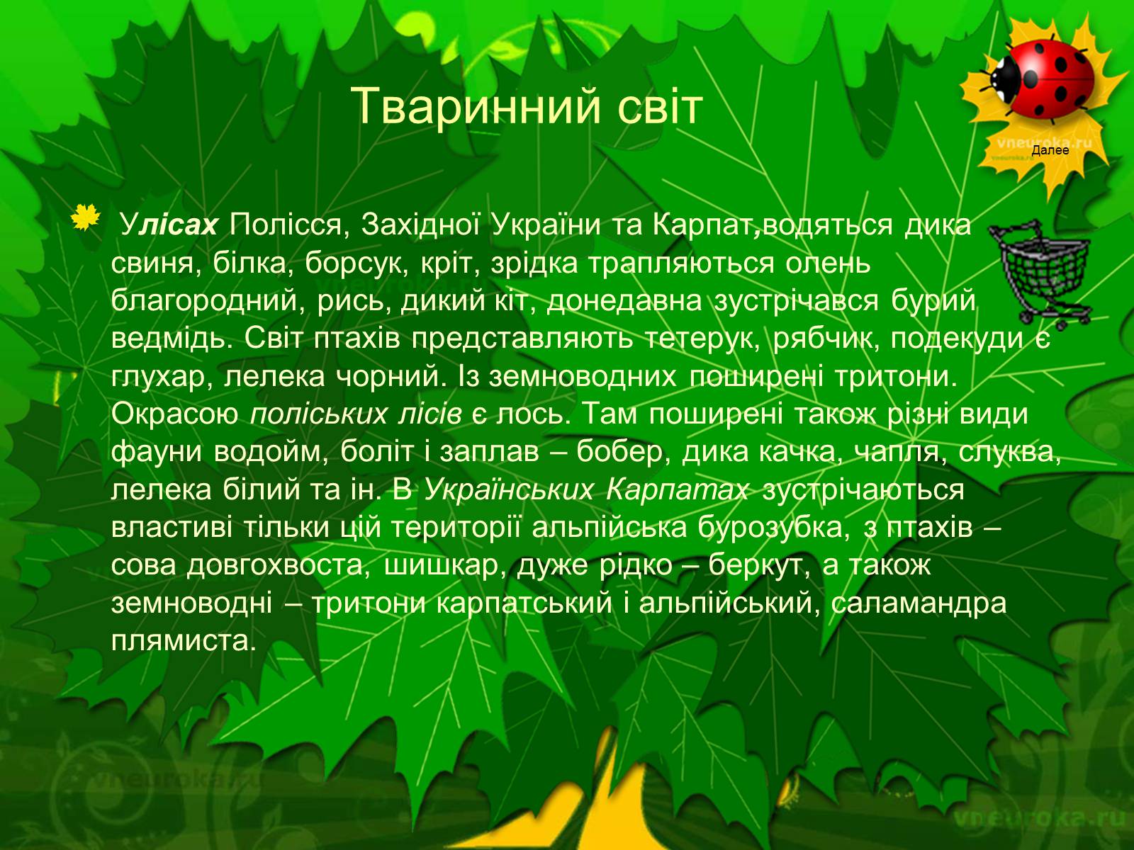Презентація на тему «Екологічні проблеми лісів України» - Слайд #59 Презентація на тему «Екологічні проблеми лісів України» - Слайд #59