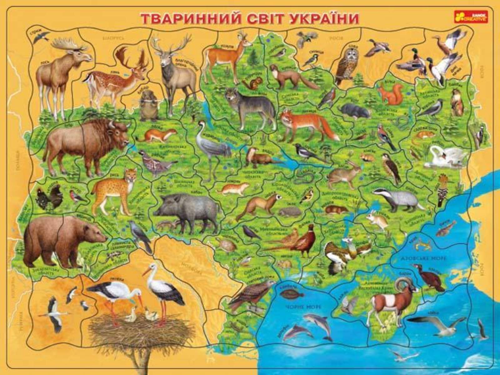 Презентація на тему «Екологічні проблеми лісів України» - Слайд #60 Презентація на тему «Екологічні проблеми лісів України» - Слайд #60