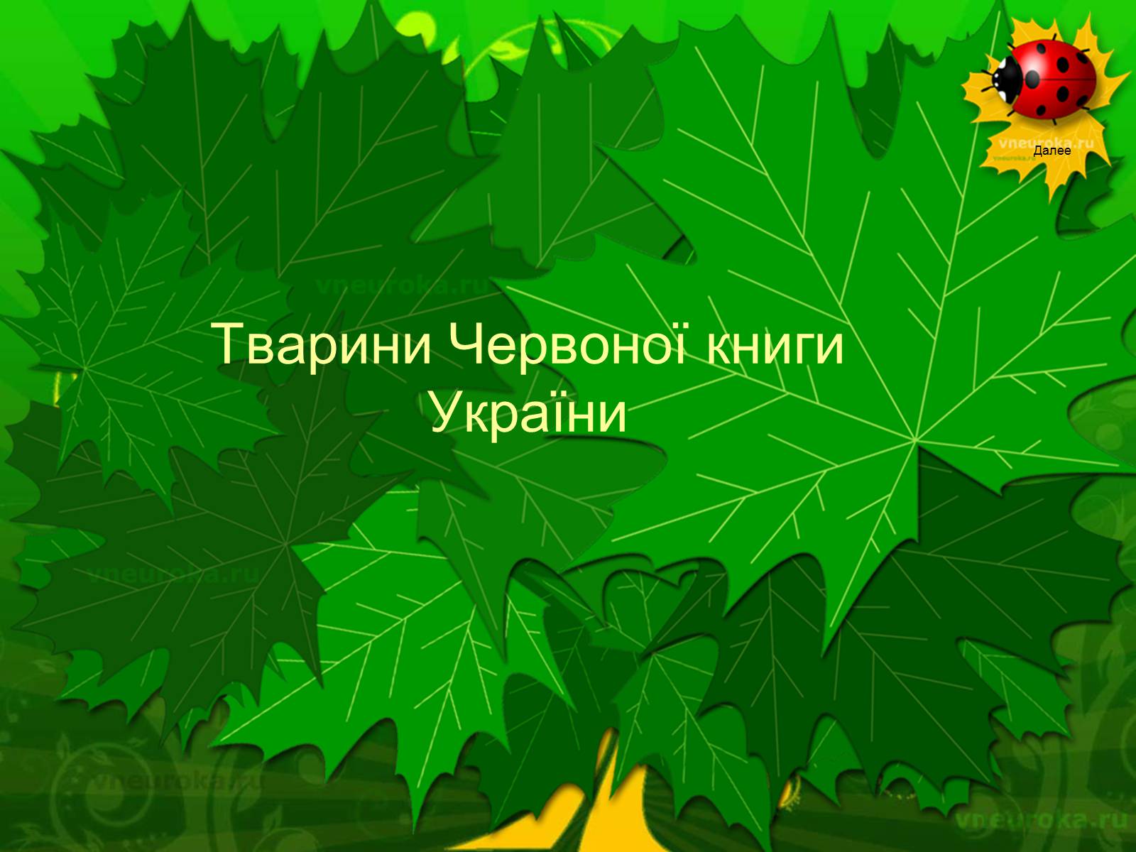 Презентація на тему «Екологічні проблеми лісів України» - Слайд #66 Презентація на тему «Екологічні проблеми лісів України» - Слайд #66