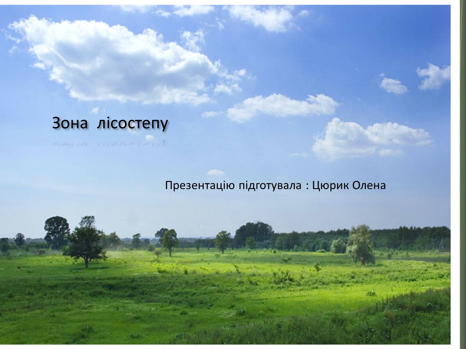 Презентація на тему «Зона лісостепу» (варіант 2) - Слайд #1 Презентація на тему «Зона лісостепу» (варіант 2) - Слайд #1
