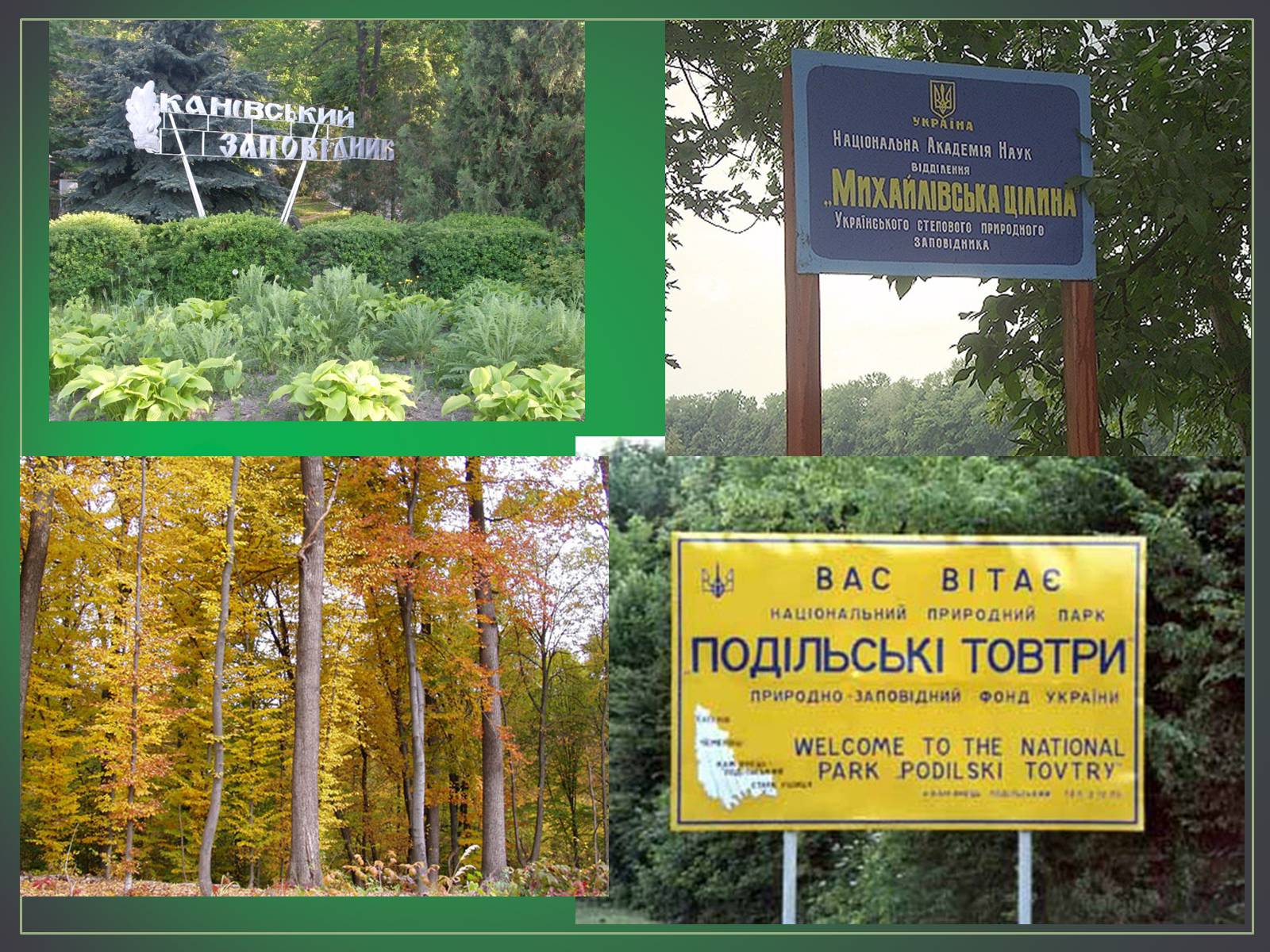 Презентація на тему «Зона лісостепу» (варіант 2) - Слайд #16 Презентація на тему «Зона лісостепу» (варіант 2) - Слайд #16