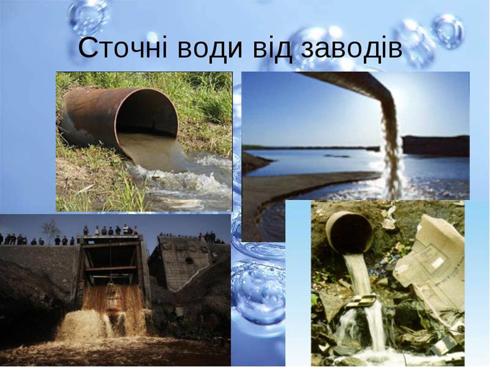 Презентація на тему «Прісна вода» - Слайд #8 Презентація на тему «Прісна вода» - Слайд #8