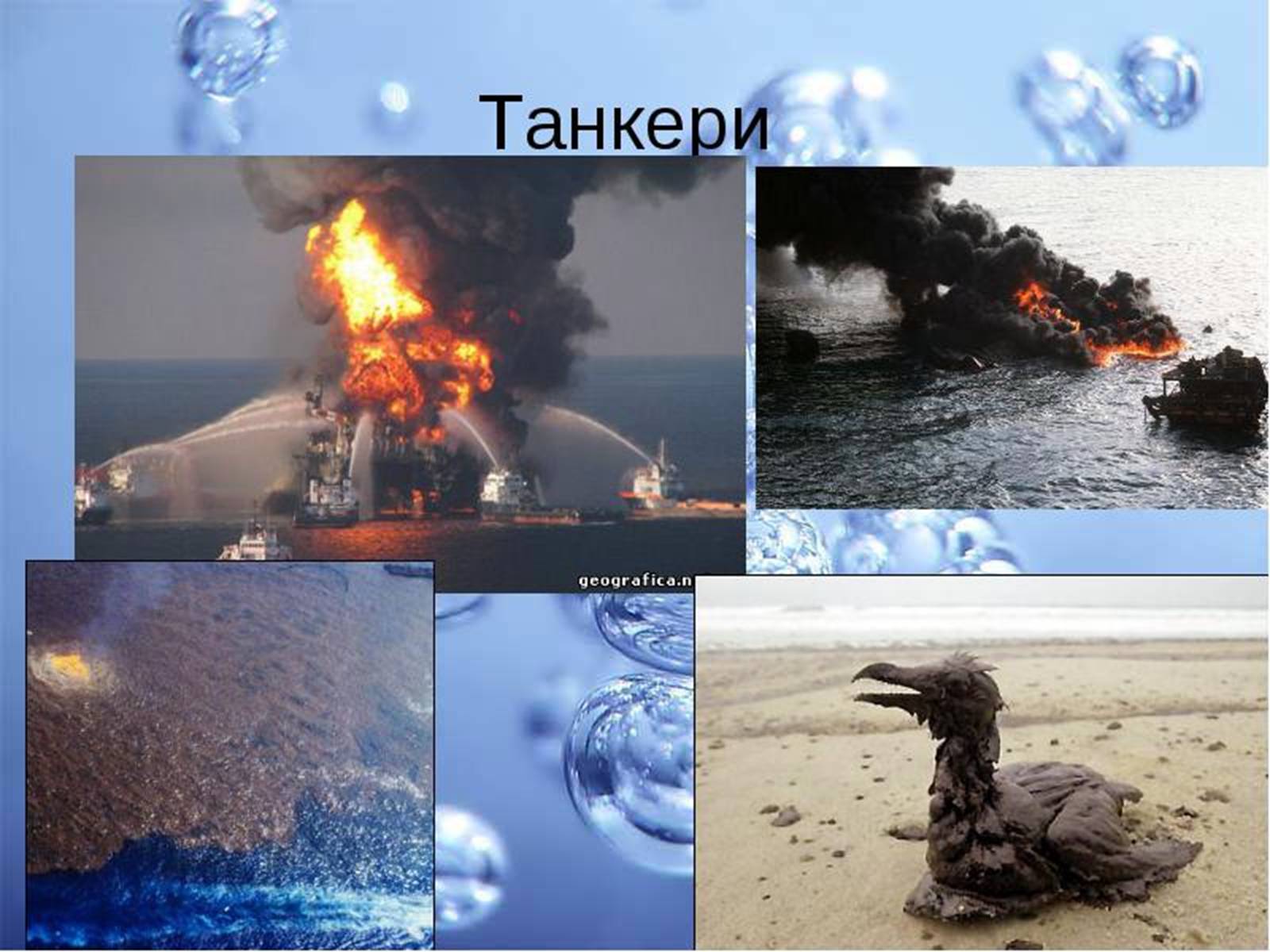 Презентація на тему «Прісна вода» - Слайд #9 Презентація на тему «Прісна вода» - Слайд #9