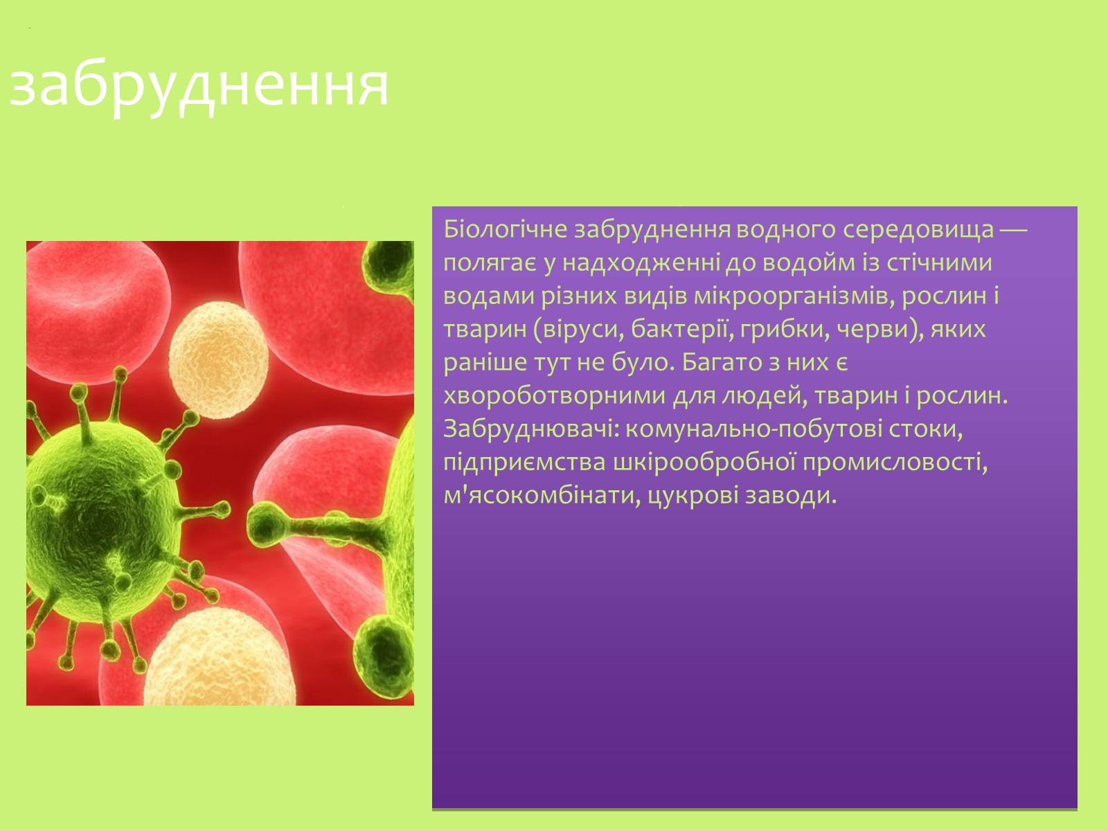 Презентація на тему «Забруднення навколишнього середовища.Види забруднень» - Слайд #21 Презентація на тему «Забруднення навколишнього середовища.Види забруднень» - Слайд #21