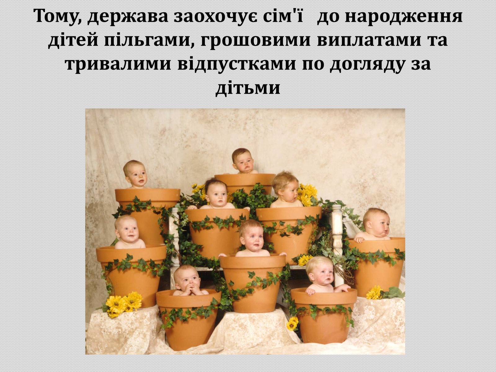 Презентація на тему «Демографічні проблеми в Україні» - Слайд #17 Презентація на тему «Демографічні проблеми в Україні» - Слайд #17