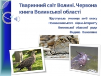 Презентація на тему «Тваринний світ Волині»