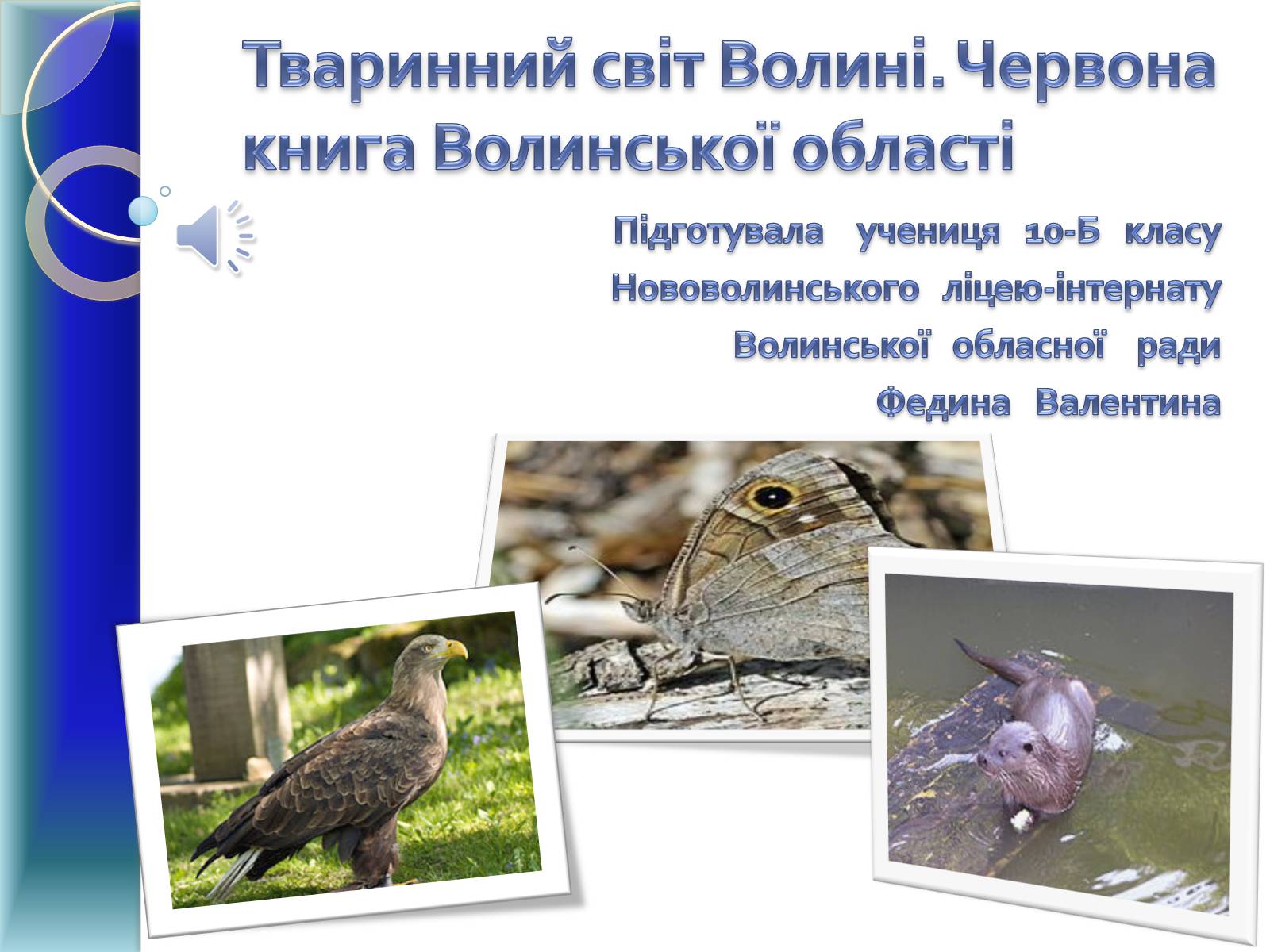 Презентація на тему «Тваринний світ Волині» - Слайд #1 Презентація на тему «Тваринний світ Волині» - Слайд #1