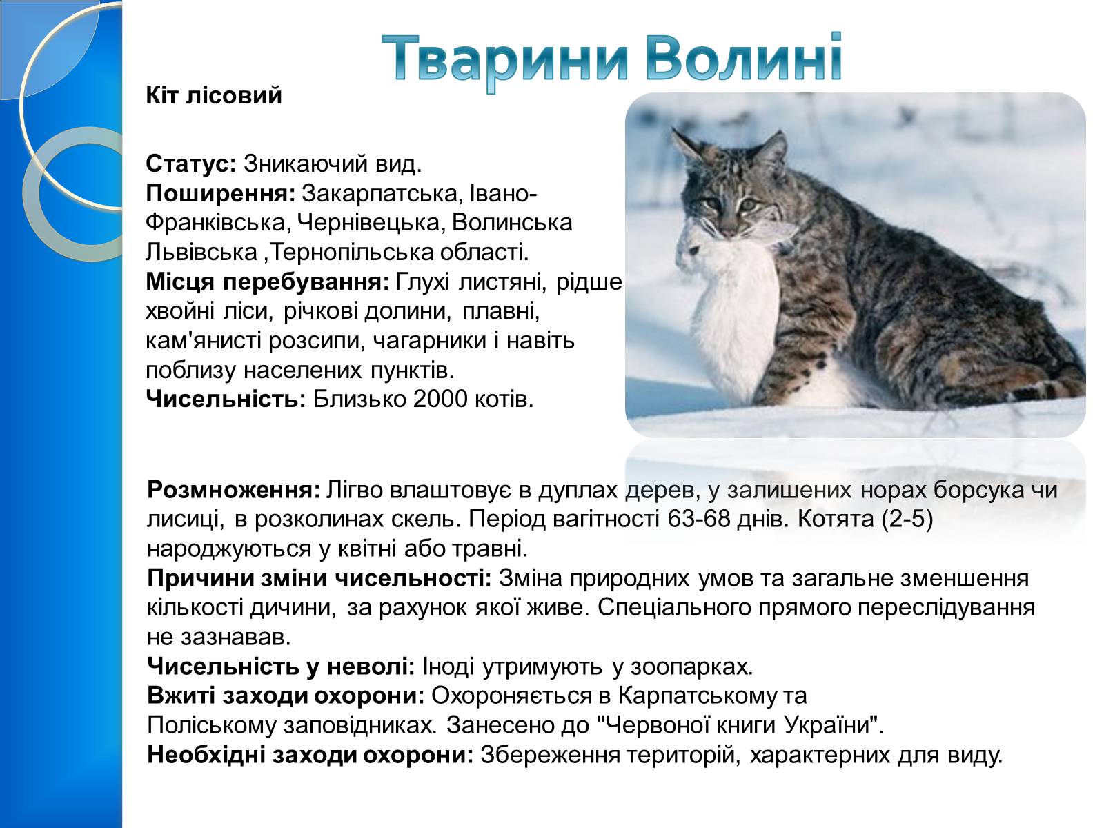 Презентація на тему «Тваринний світ Волині» - Слайд #8 Презентація на тему «Тваринний світ Волині» - Слайд #8