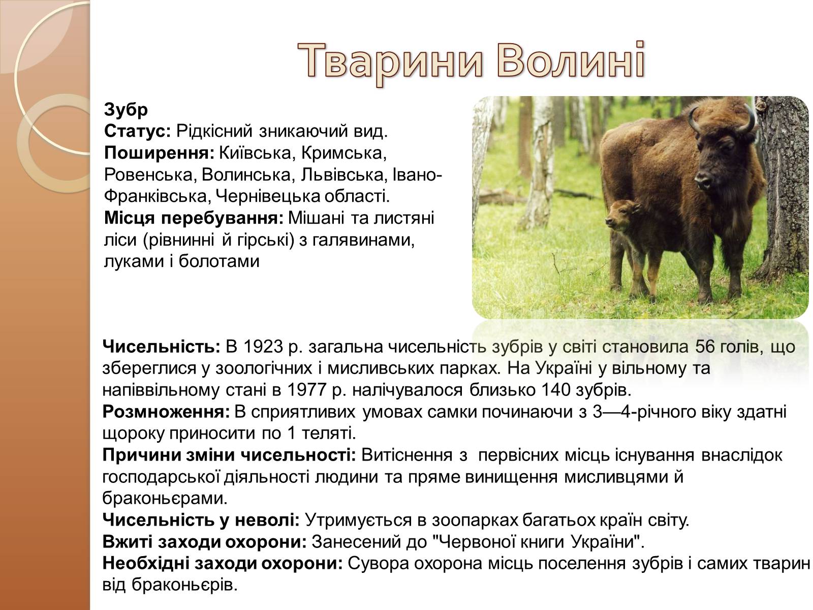 Презентація на тему «Тваринний світ Волині» - Слайд #9 Презентація на тему «Тваринний світ Волині» - Слайд #9
