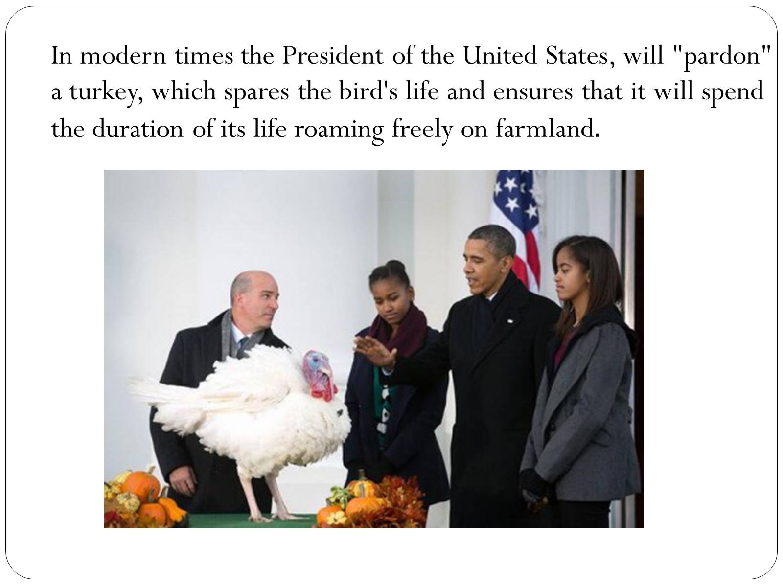 Презентація на тему «Thanksgiving Day Celebration in United States» - Слайд #10