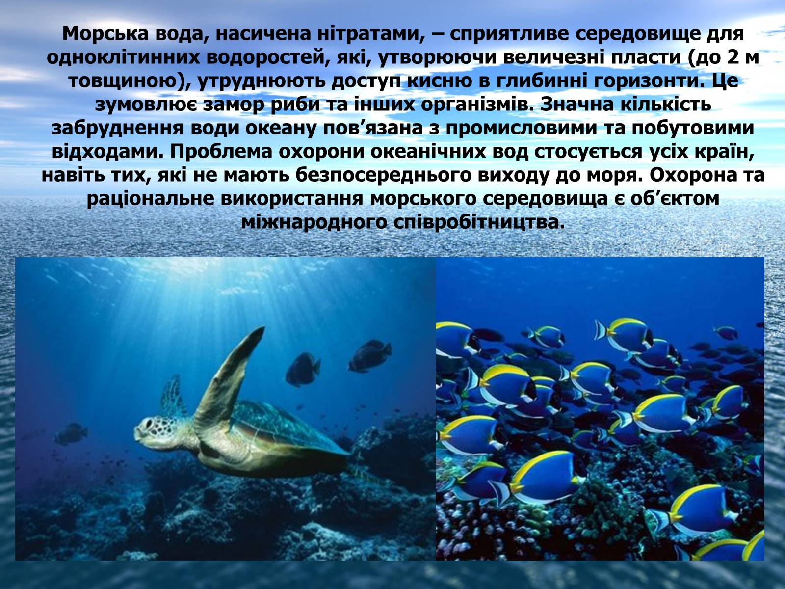 Презентація на тему «Ресурси Світового океану» (варіант 2) - Слайд #15 Презентація на тему «Ресурси Світового океану» (варіант 2) - Слайд #15