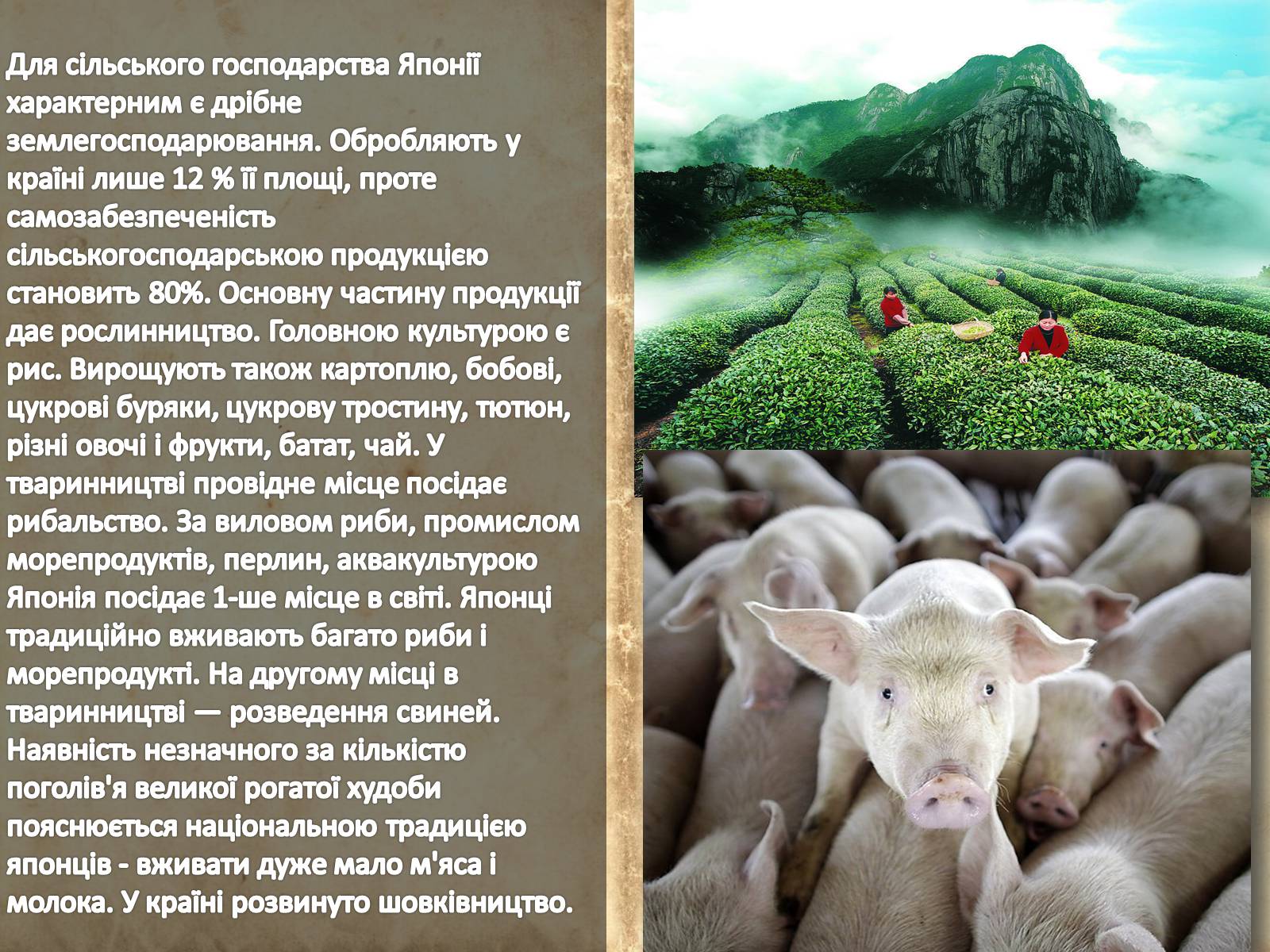 Презентація на тему «Японія» (варіант 13) - Слайд #17 Презентація на тему «Японія» (варіант 13) - Слайд #17