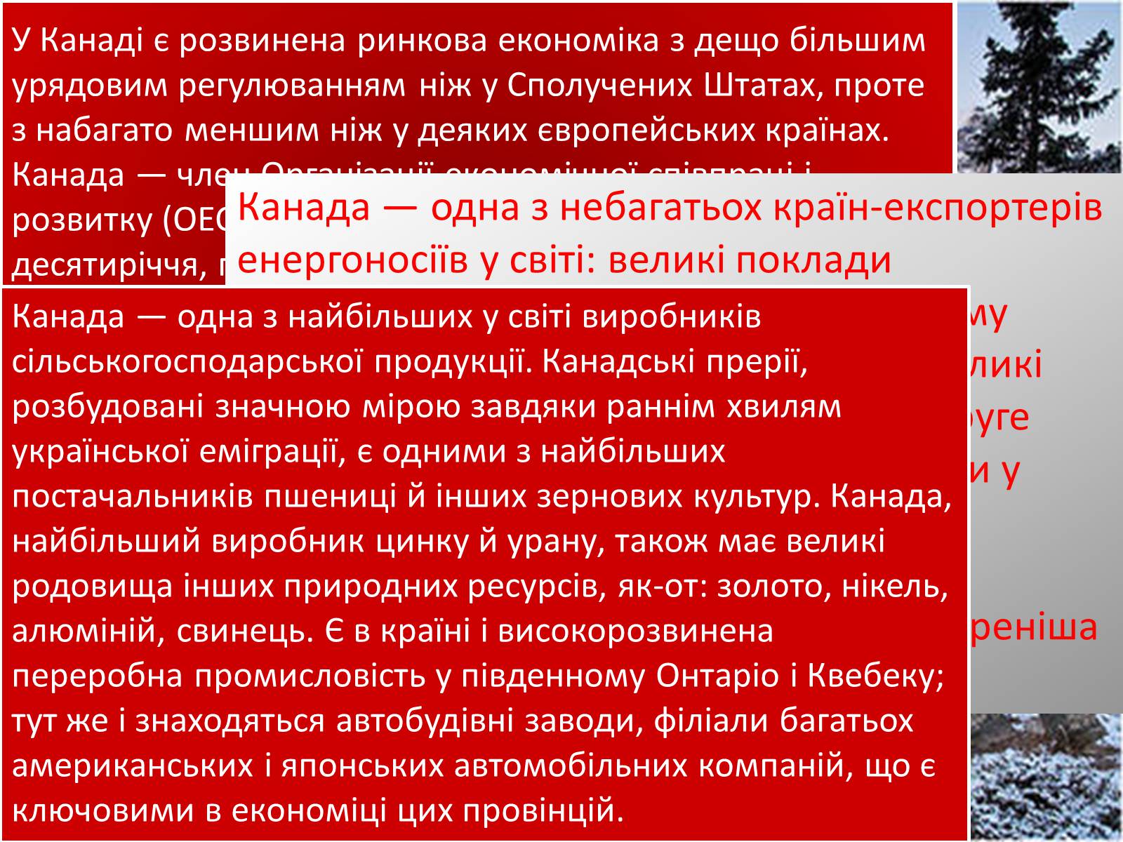 Презентація на тему «Країни ВЕЛИКОЇ СІМКИ» - Слайд #23 Презентація на тему «Країни ВЕЛИКОЇ СІМКИ» - Слайд #23