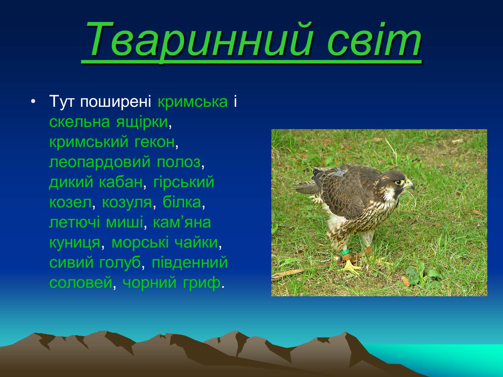 Презентація на тему «Кримські гори» (варіант 1) - Слайд #10 Презентація на тему «Кримські гори» (варіант 1) - Слайд #10