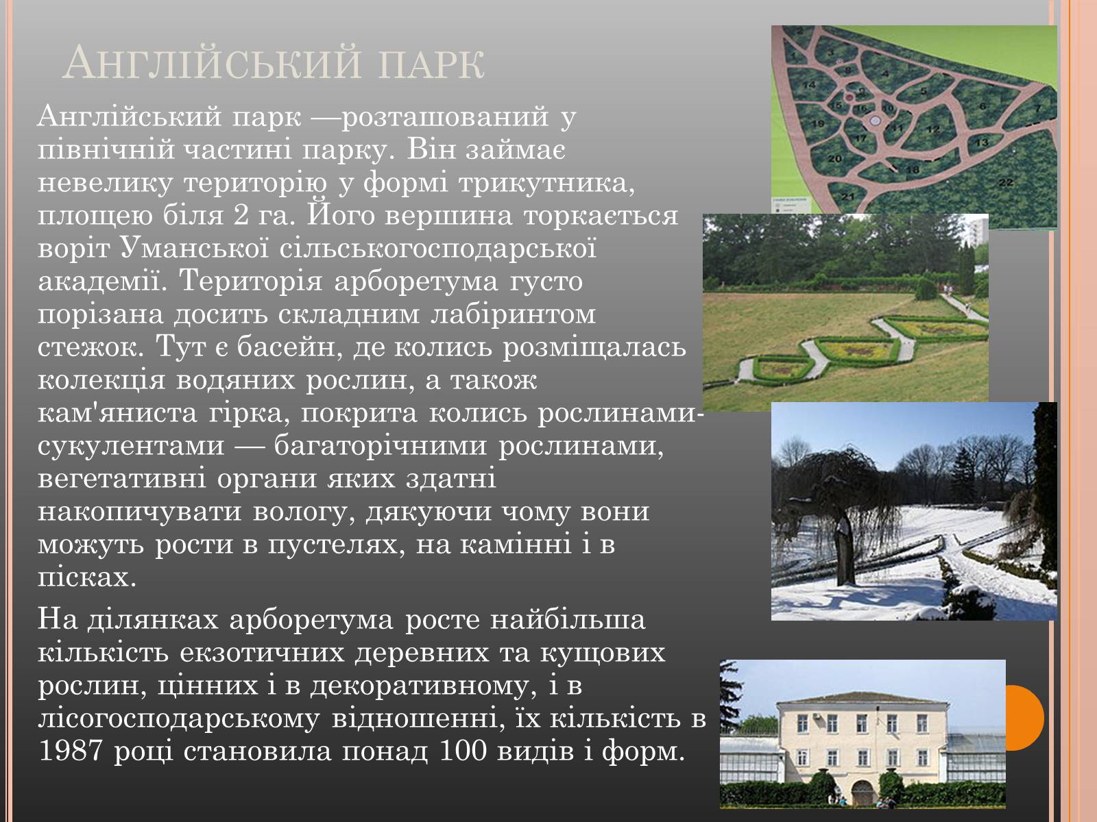 Презентація на тему «Національний дендрологічний парк «Софіївка»» (варіант 1) - Слайд #15 Презентація на тему «Національний дендрологічний парк «Софіївка»» (варіант 1) - Слайд #15