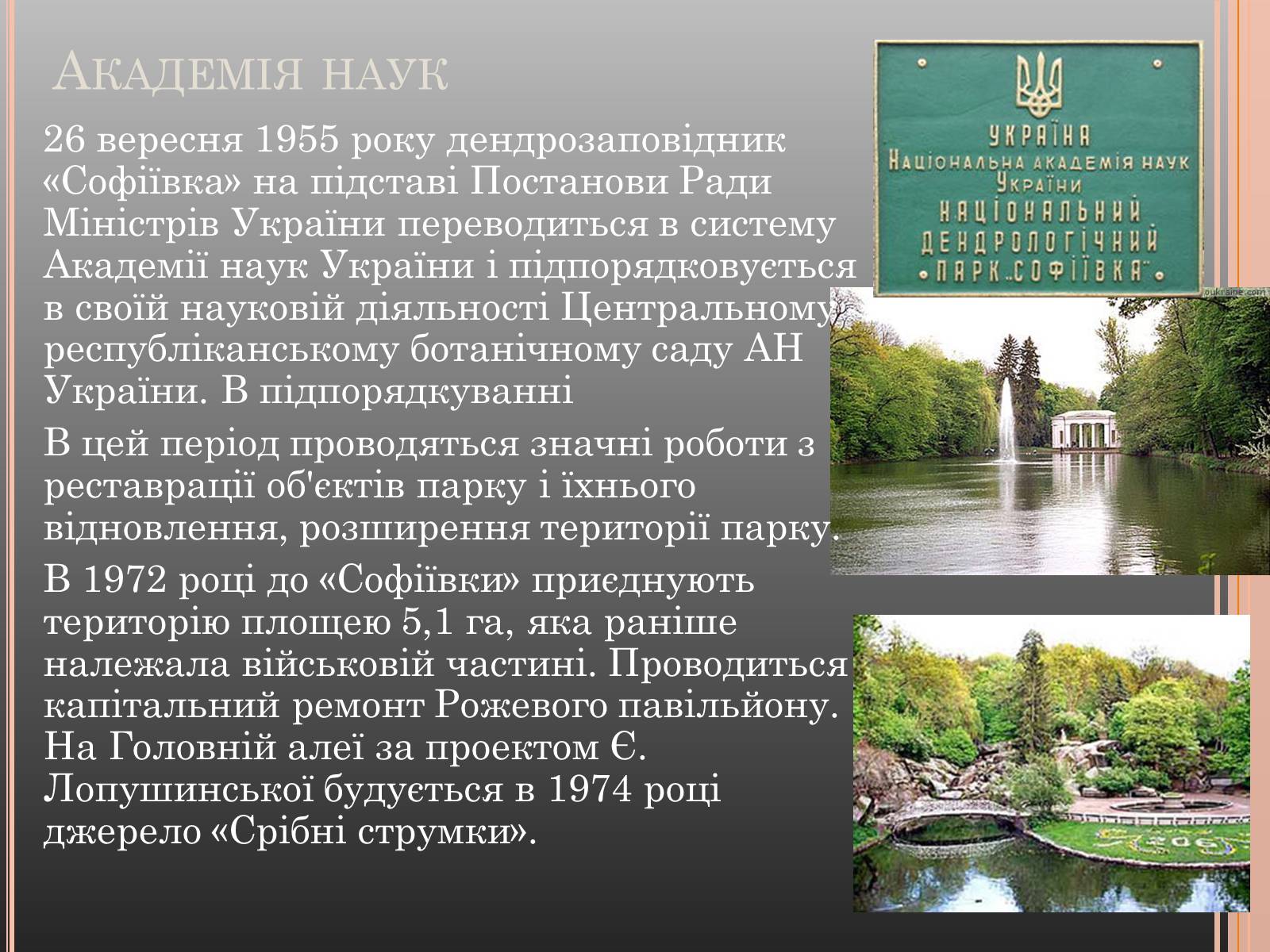 Презентація на тему «Національний дендрологічний парк «Софіївка»» (варіант 1) - Слайд #7 Презентація на тему «Національний дендрологічний парк «Софіївка»» (варіант 1) - Слайд #7