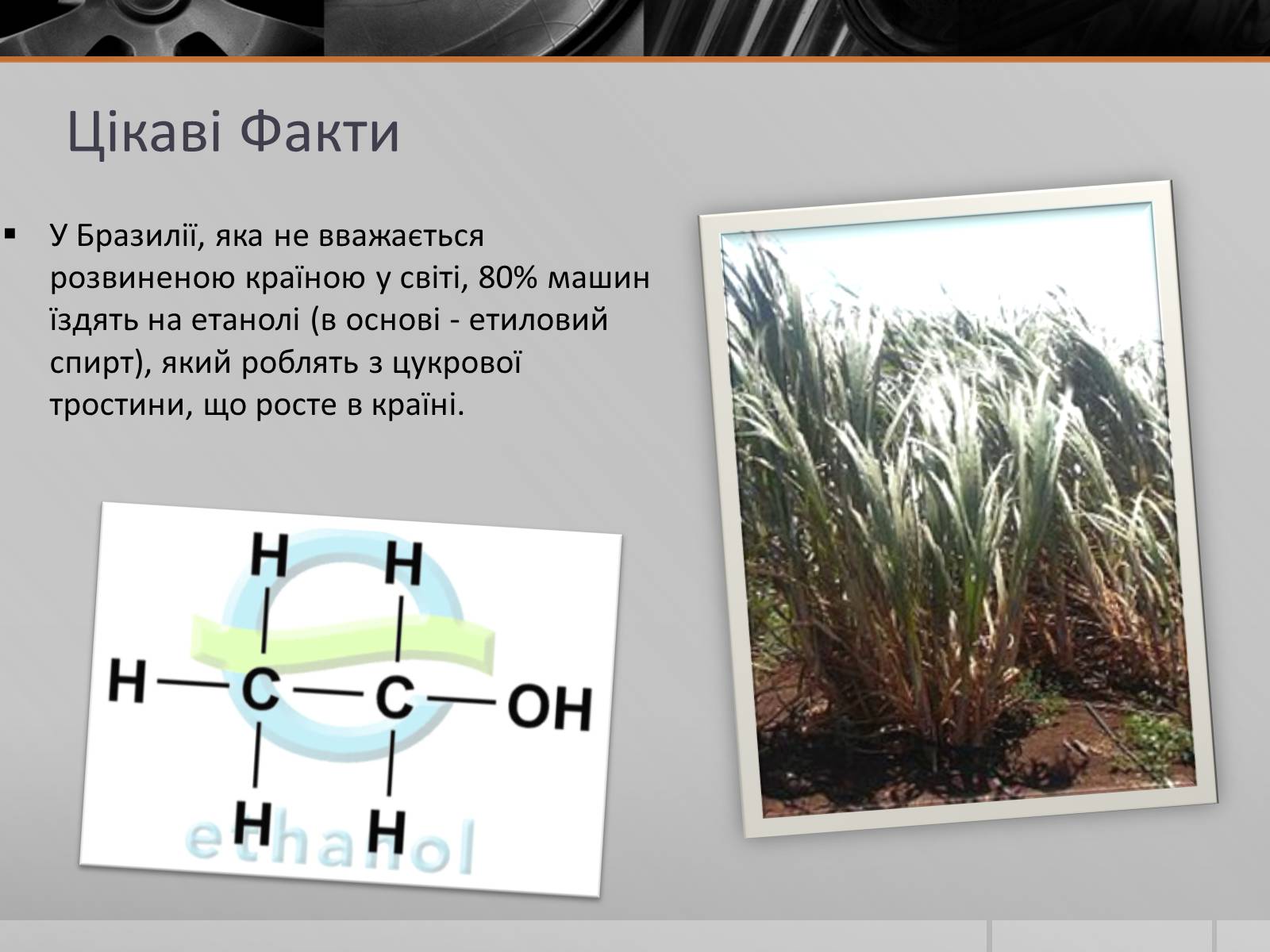 Презентація на тему «Альтернативні Види Палива» (варіант 5) - Слайд #10 Презентація на тему «Альтернативні Види Палива» (варіант 5) - Слайд #10