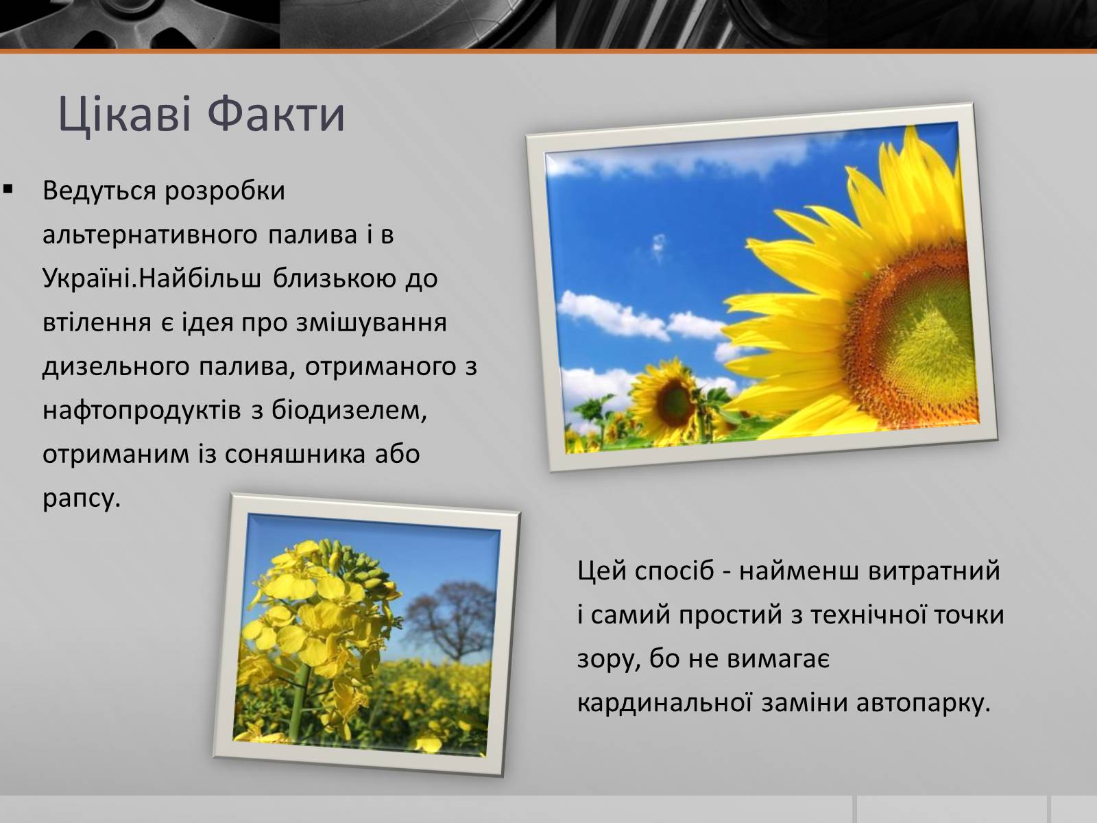 Презентація на тему «Альтернативні Види Палива» (варіант 5) - Слайд #11 Презентація на тему «Альтернативні Види Палива» (варіант 5) - Слайд #11