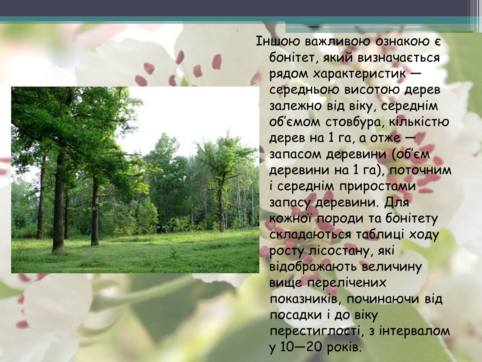 Презентація на тему «Ліси потребують допомоги» - Слайд #10 Презентація на тему «Ліси потребують допомоги» - Слайд #10