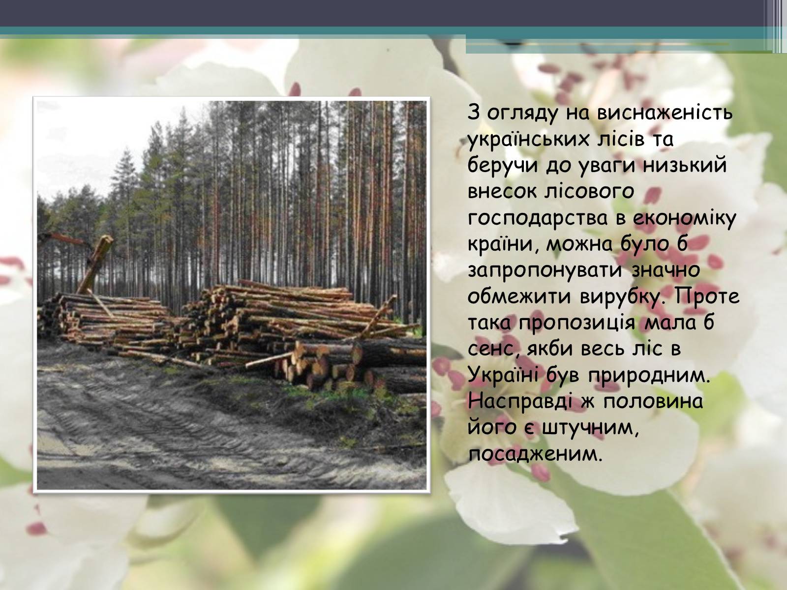 Презентація на тему «Ліси потребують допомоги» - Слайд #18 Презентація на тему «Ліси потребують допомоги» - Слайд #18