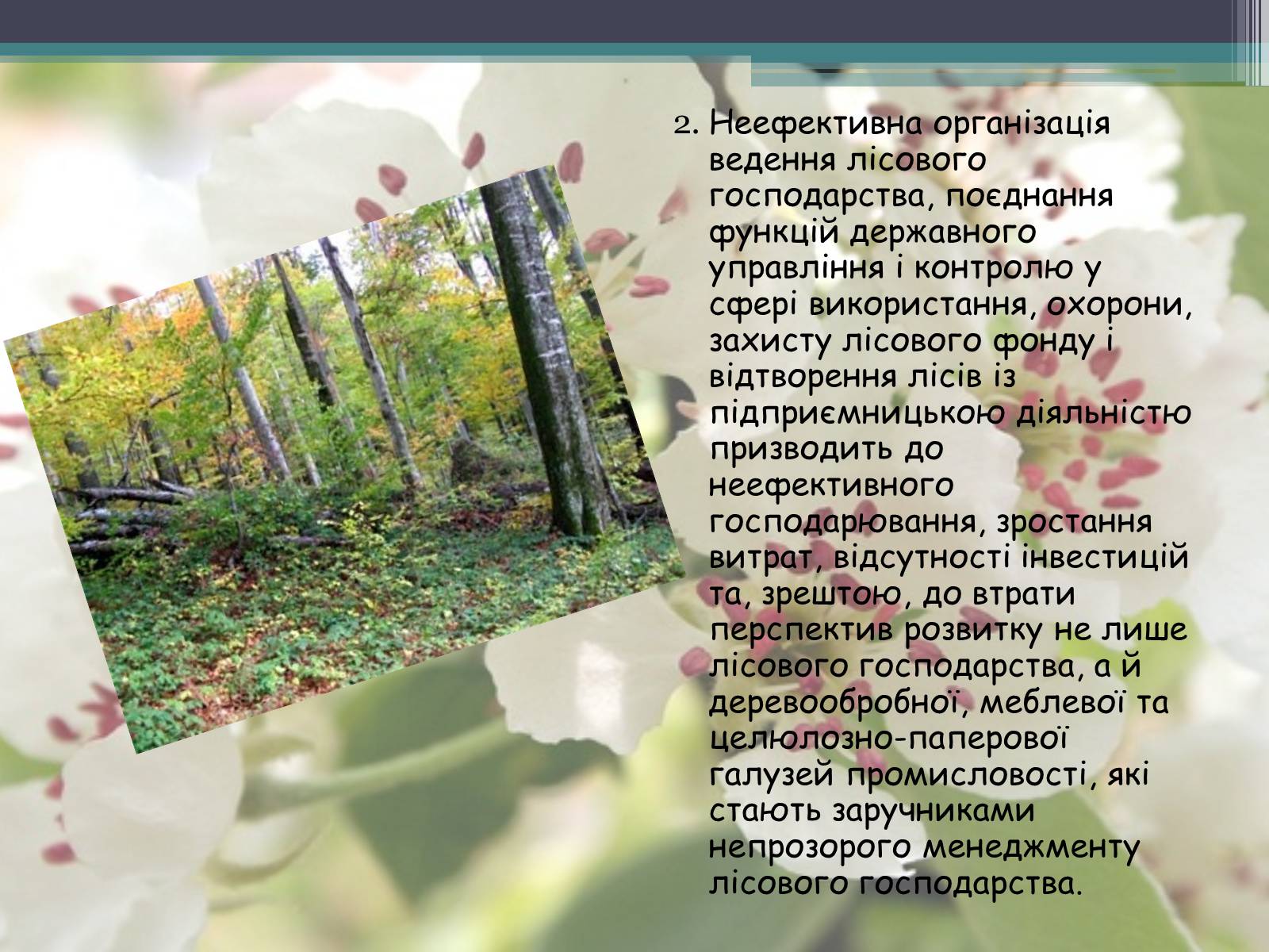 Презентація на тему «Ліси потребують допомоги» - Слайд #20 Презентація на тему «Ліси потребують допомоги» - Слайд #20