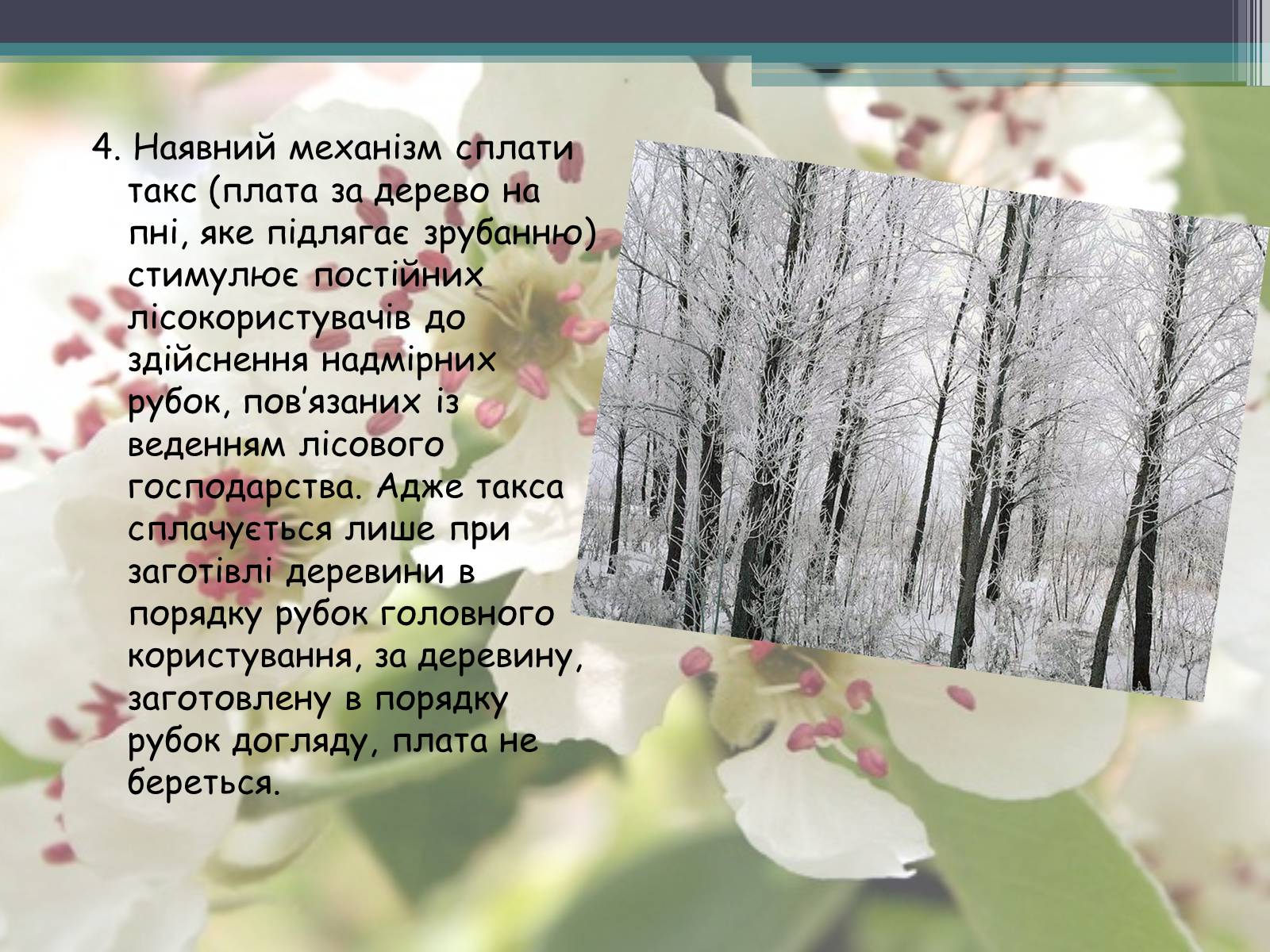 Презентація на тему «Ліси потребують допомоги» - Слайд #22 Презентація на тему «Ліси потребують допомоги» - Слайд #22