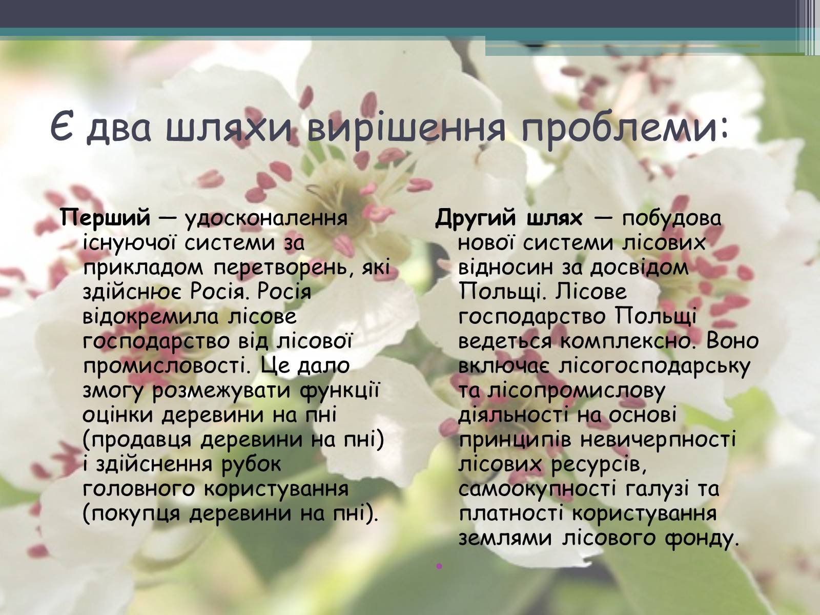 Презентація на тему «Ліси потребують допомоги» - Слайд #25 Презентація на тему «Ліси потребують допомоги» - Слайд #25