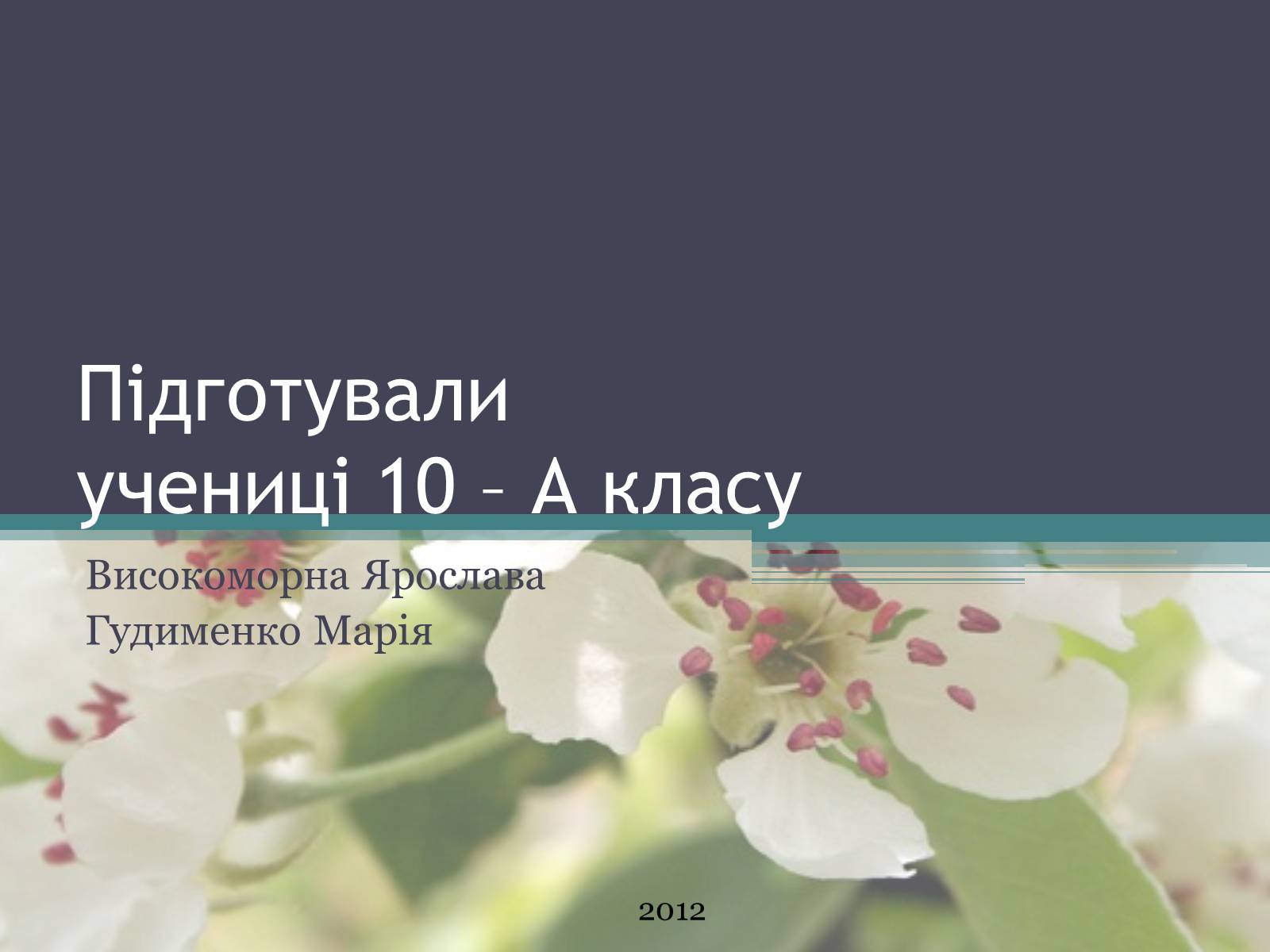 Презентація на тему «Ліси потребують допомоги» - Слайд #26 Презентація на тему «Ліси потребують допомоги» - Слайд #26
