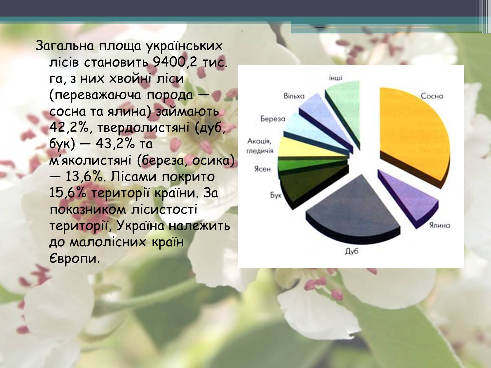 Презентація на тему «Ліси потребують допомоги» - Слайд #4 Презентація на тему «Ліси потребують допомоги» - Слайд #4