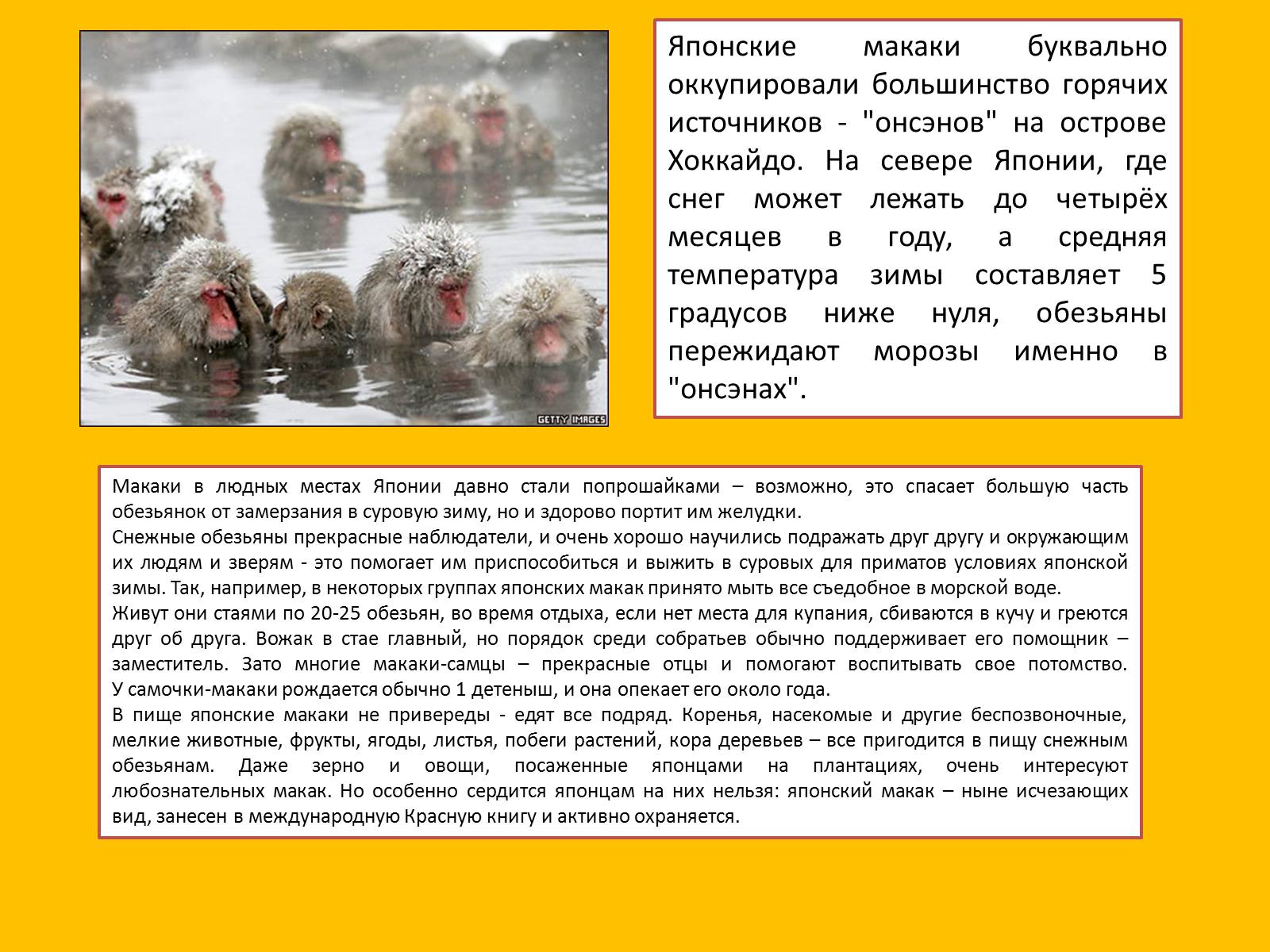 Презентація на тему «Япония» (варіант 2) - Слайд #28 Презентація на тему «Япония» (варіант 2) - Слайд #28
