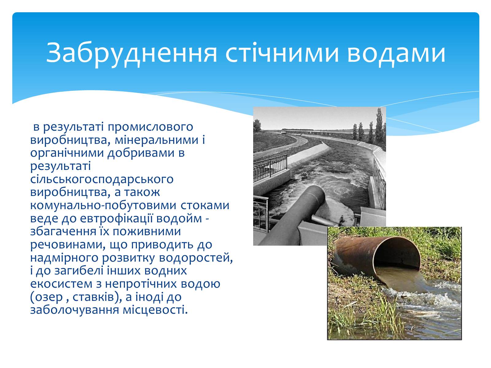 Презентація на тему «Забруднення гідросфери» (варіант 1) - Слайд #7 Презентація на тему «Забруднення гідросфери» (варіант 1) - Слайд #7
