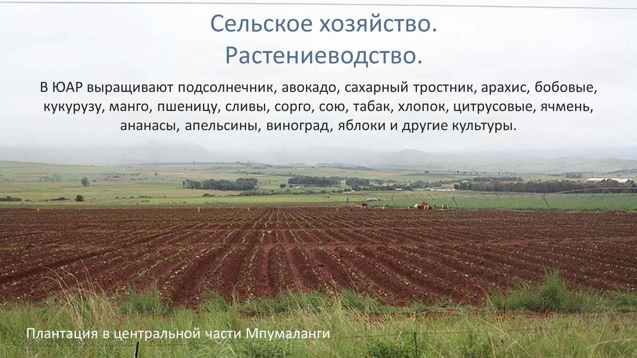 Презентація на тему «Южно-Африканская Республика» - Слайд #18 Презентація на тему «Южно-Африканская Республика» - Слайд #18