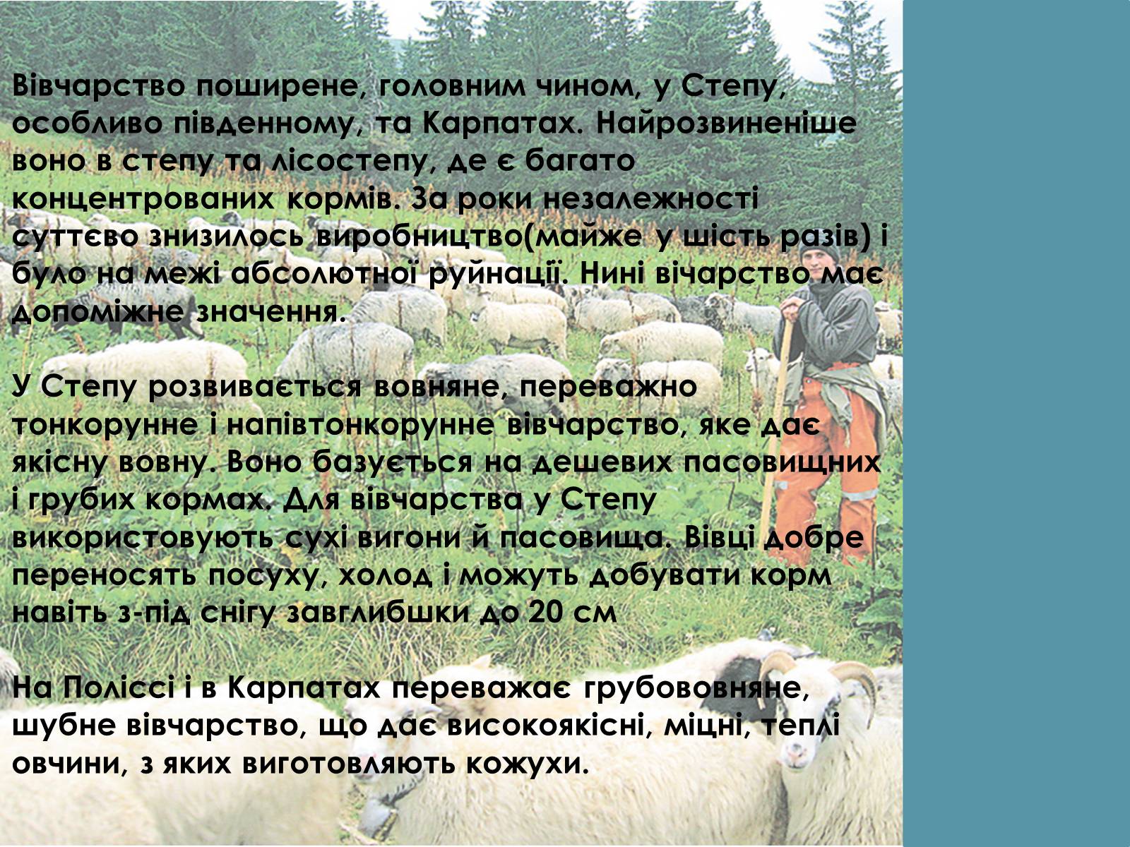 Презентація на тему «Тваринництво України» - Слайд #4 Презентація на тему «Тваринництво України» - Слайд #4
