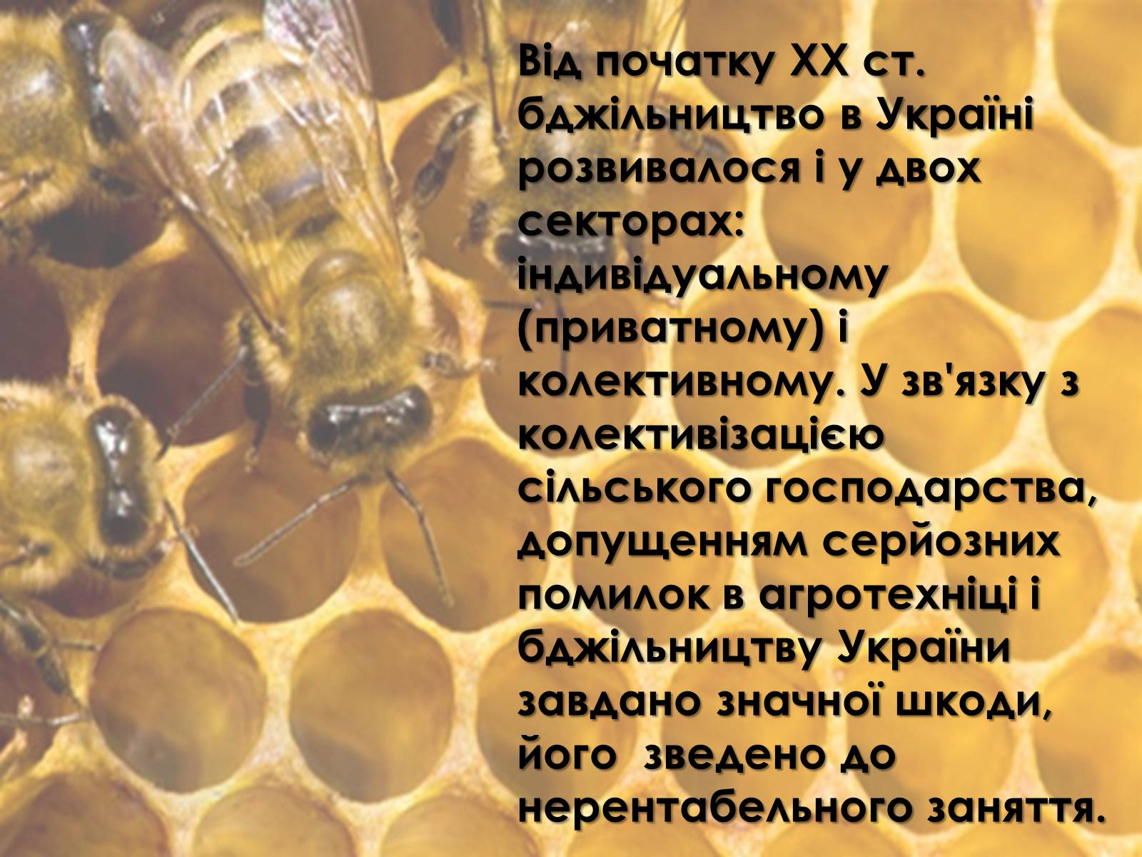 Презентація на тему «Тваринництво України» - Слайд #8 Презентація на тему «Тваринництво України» - Слайд #8