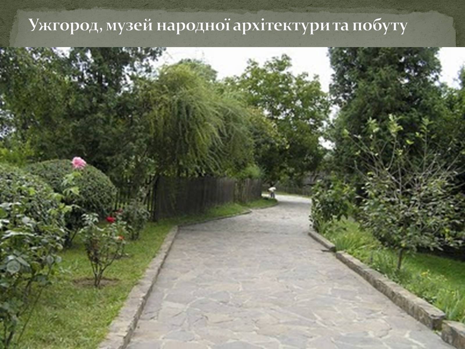 Презентація на тему «Чернівці. Старе місто й молодильне дзеркало» - Слайд #3 Презентація на тему «Чернівці. Старе місто й молодильне дзеркало» - Слайд #3