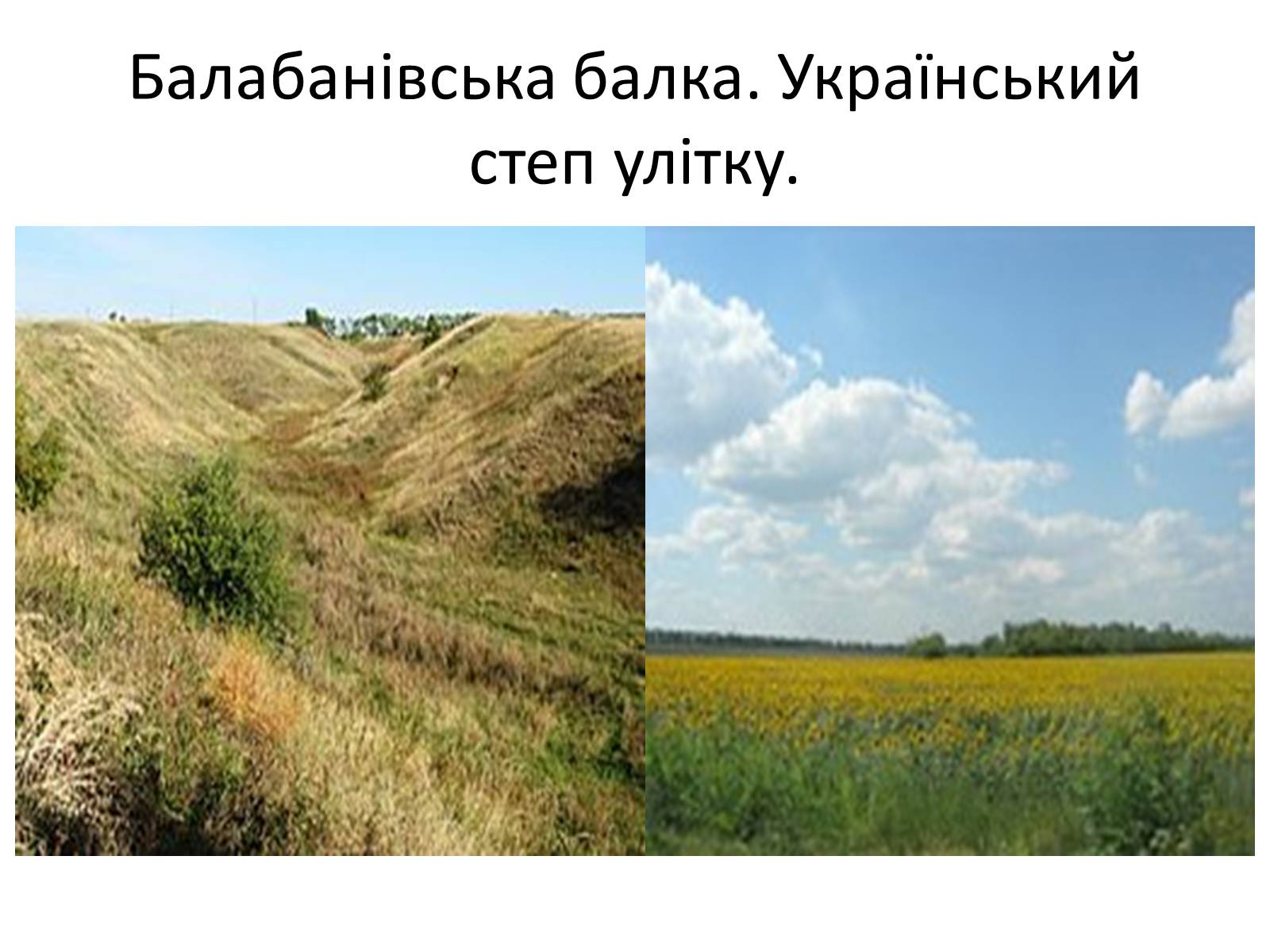 Презентація на тему «Рельєф України» (варіант 1) - Слайд #6 Презентація на тему «Рельєф України» (варіант 1) - Слайд #6