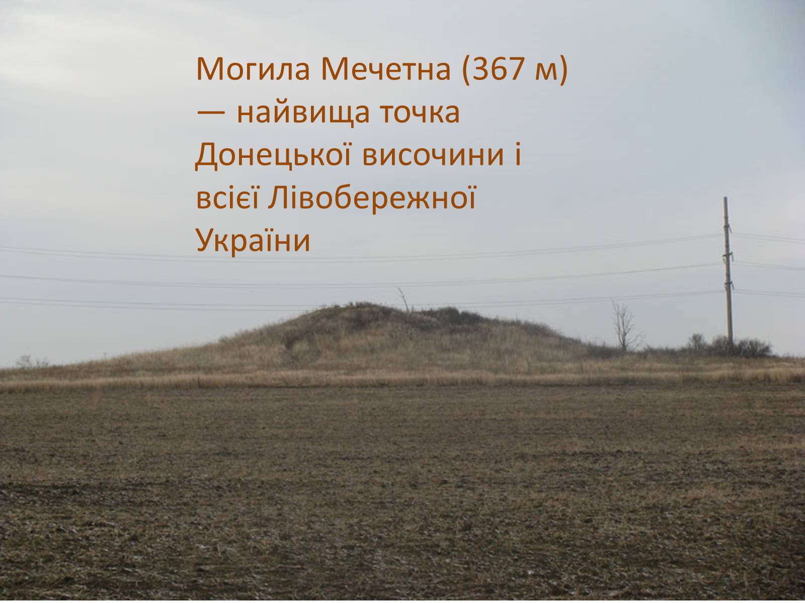 Презентація на тему «Рельєф України» (варіант 1) - Слайд #7 Презентація на тему «Рельєф України» (варіант 1) - Слайд #7