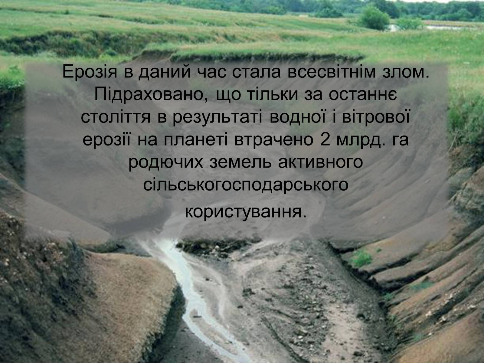 Презентація на тему «Забруднення літосфери» - Слайд #12 Презентація на тему «Забруднення літосфери» - Слайд #12