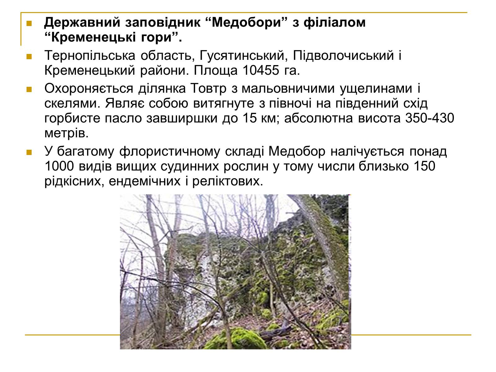 Презентація на тему «Природно-заповідний фонд України» (варіант 2) - Слайд #14 Презентація на тему «Природно-заповідний фонд України» (варіант 2) - Слайд #14