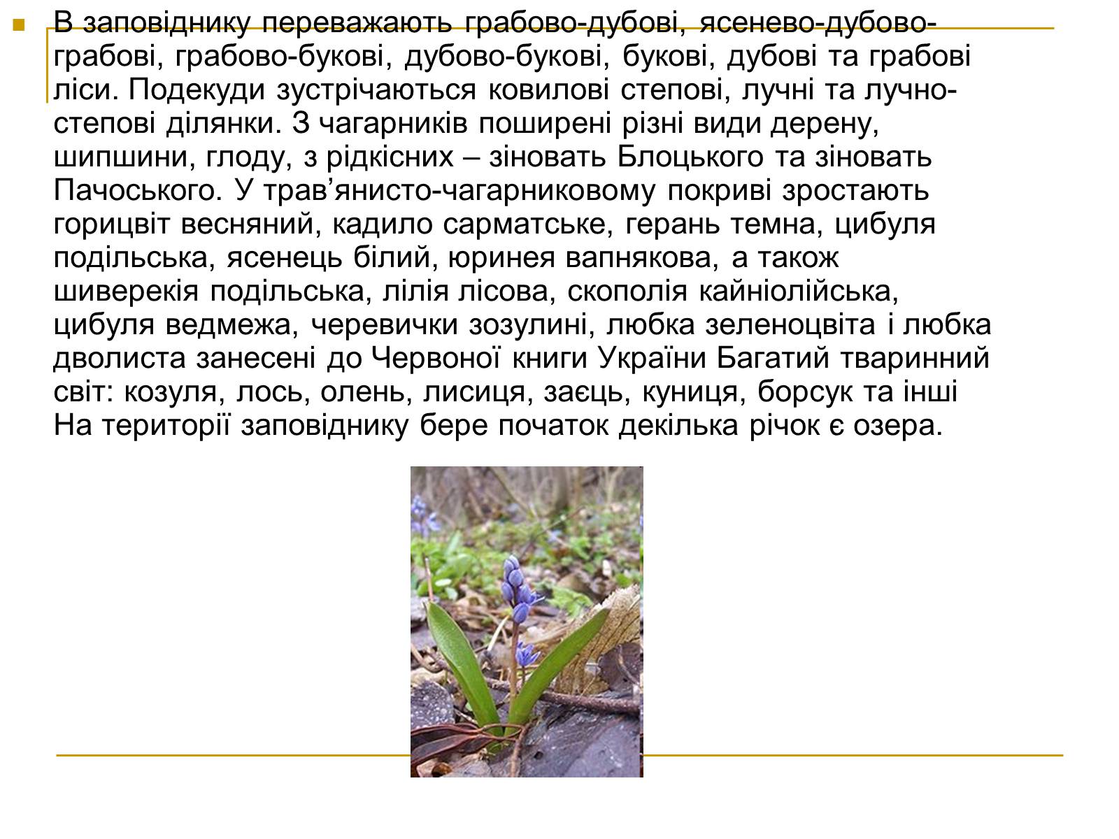 Презентація на тему «Природно-заповідний фонд України» (варіант 2) - Слайд #15 Презентація на тему «Природно-заповідний фонд України» (варіант 2) - Слайд #15