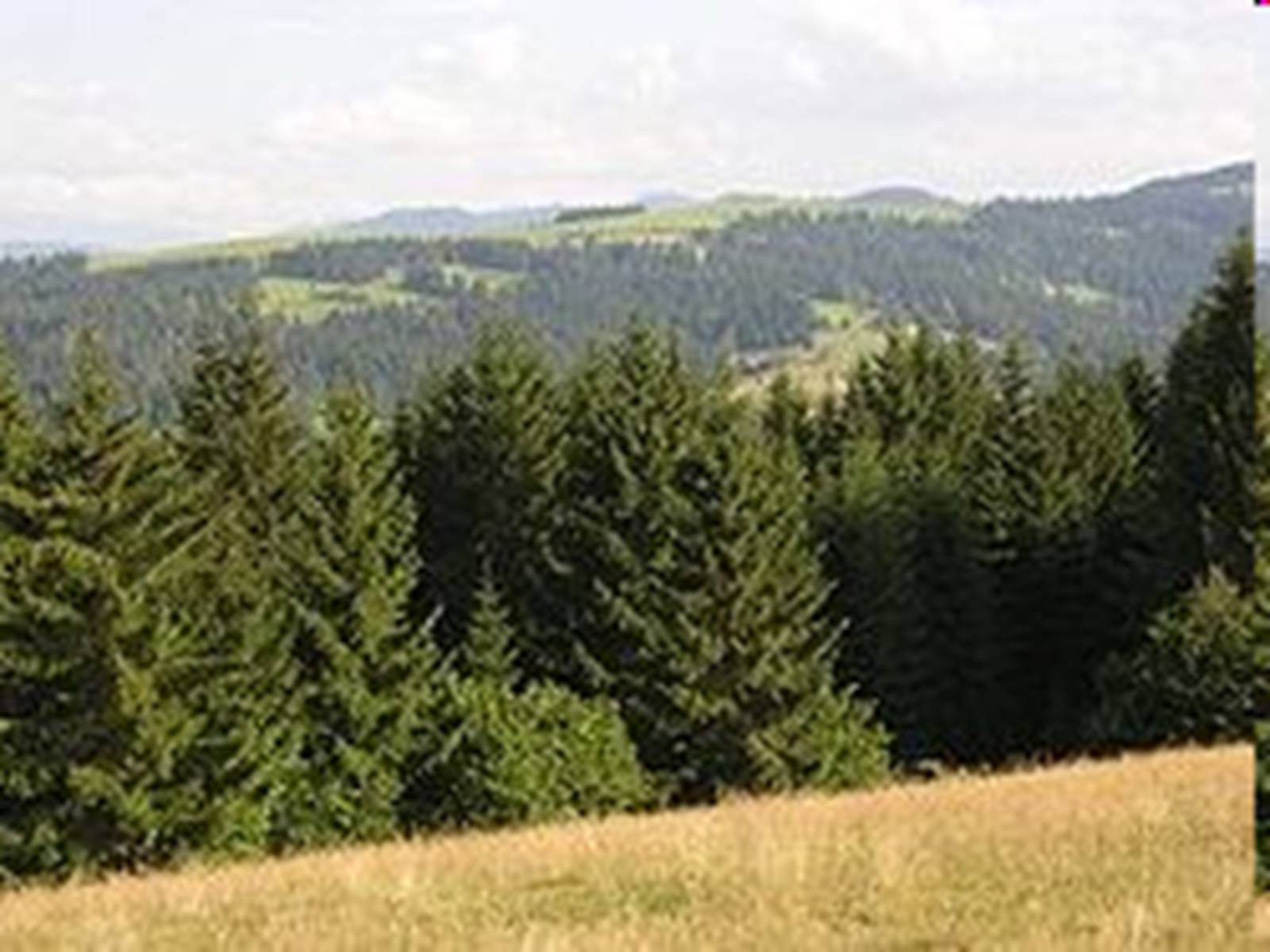 Презентація на тему «Природно-заповідний фонд України» (варіант 2) - Слайд #22 Презентація на тему «Природно-заповідний фонд України» (варіант 2) - Слайд #22